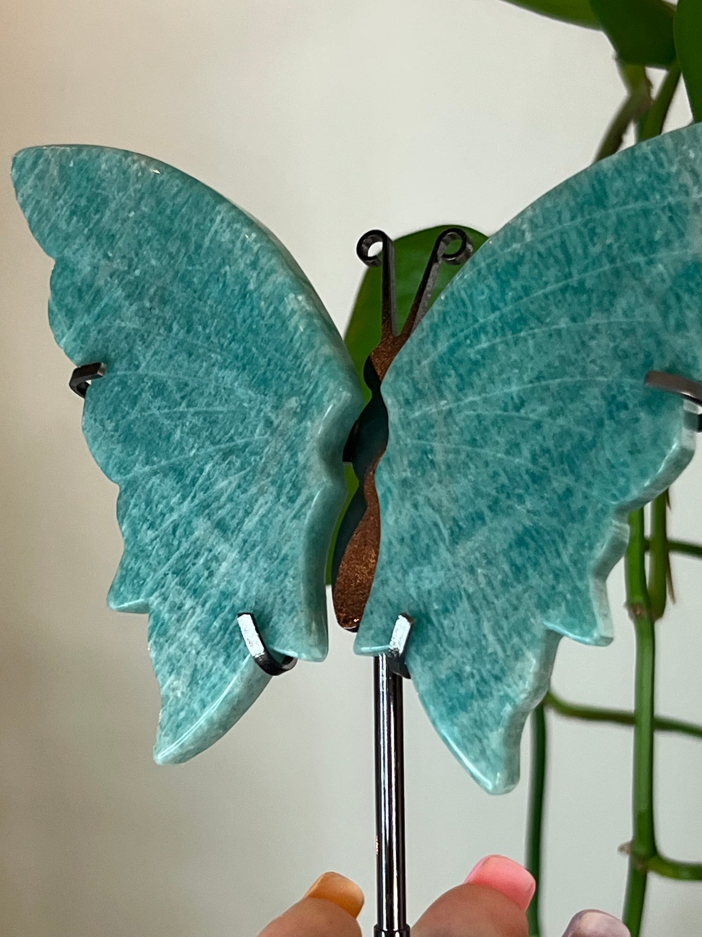Amazonite Butterfly Stand - W