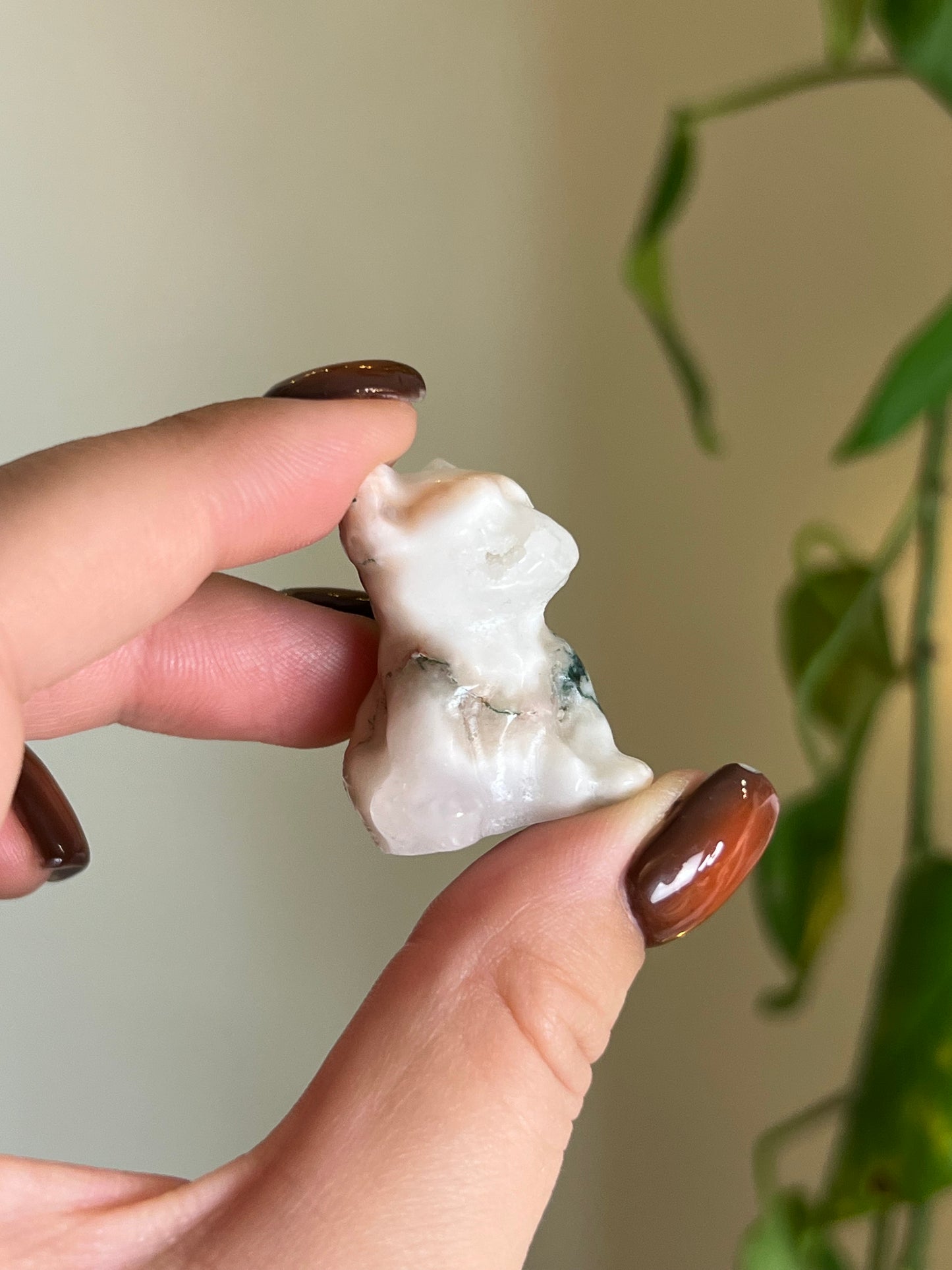 Tree Agate With Druzy Frenchie Dog