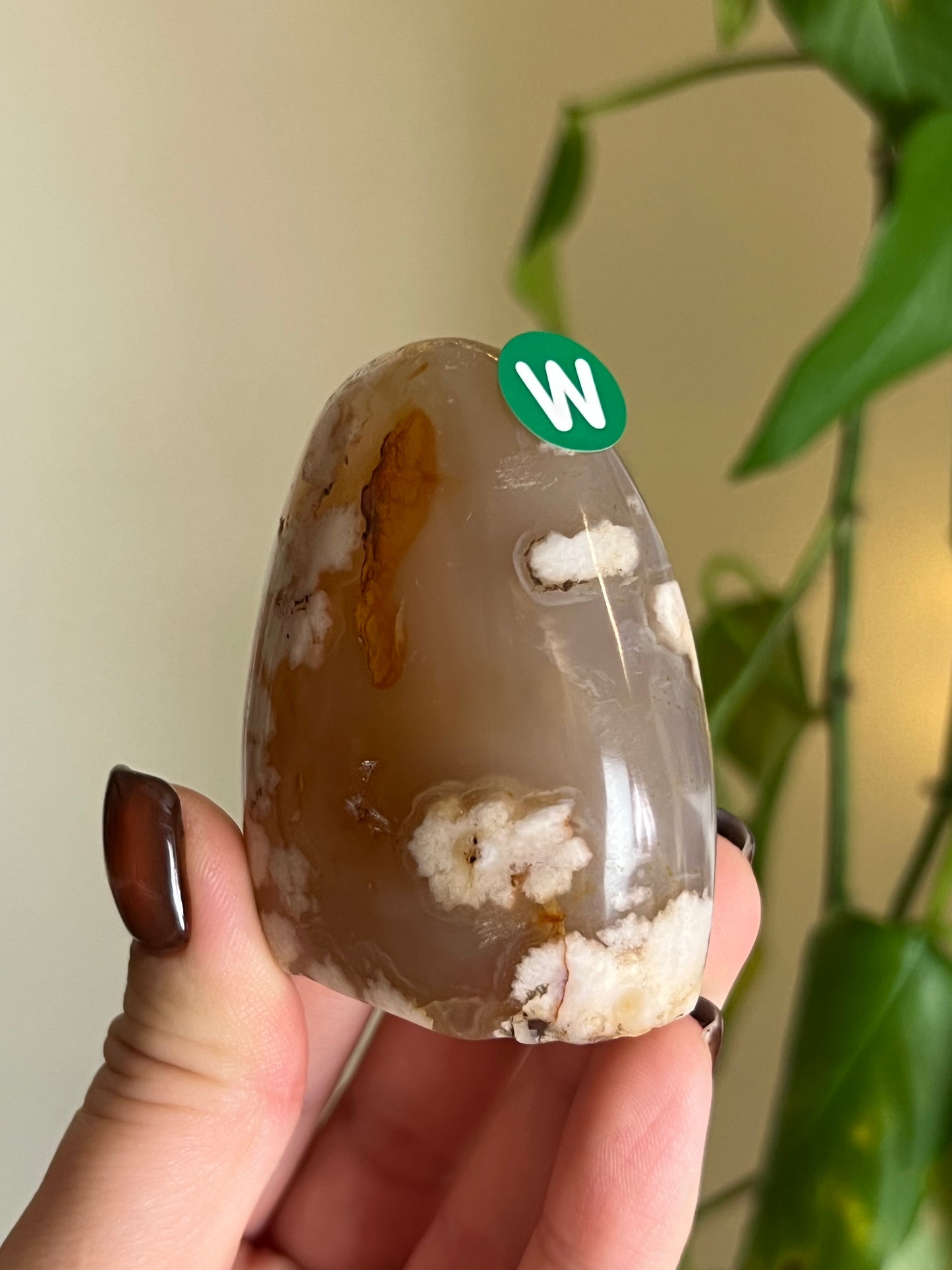 Flower Agate Freeform - W