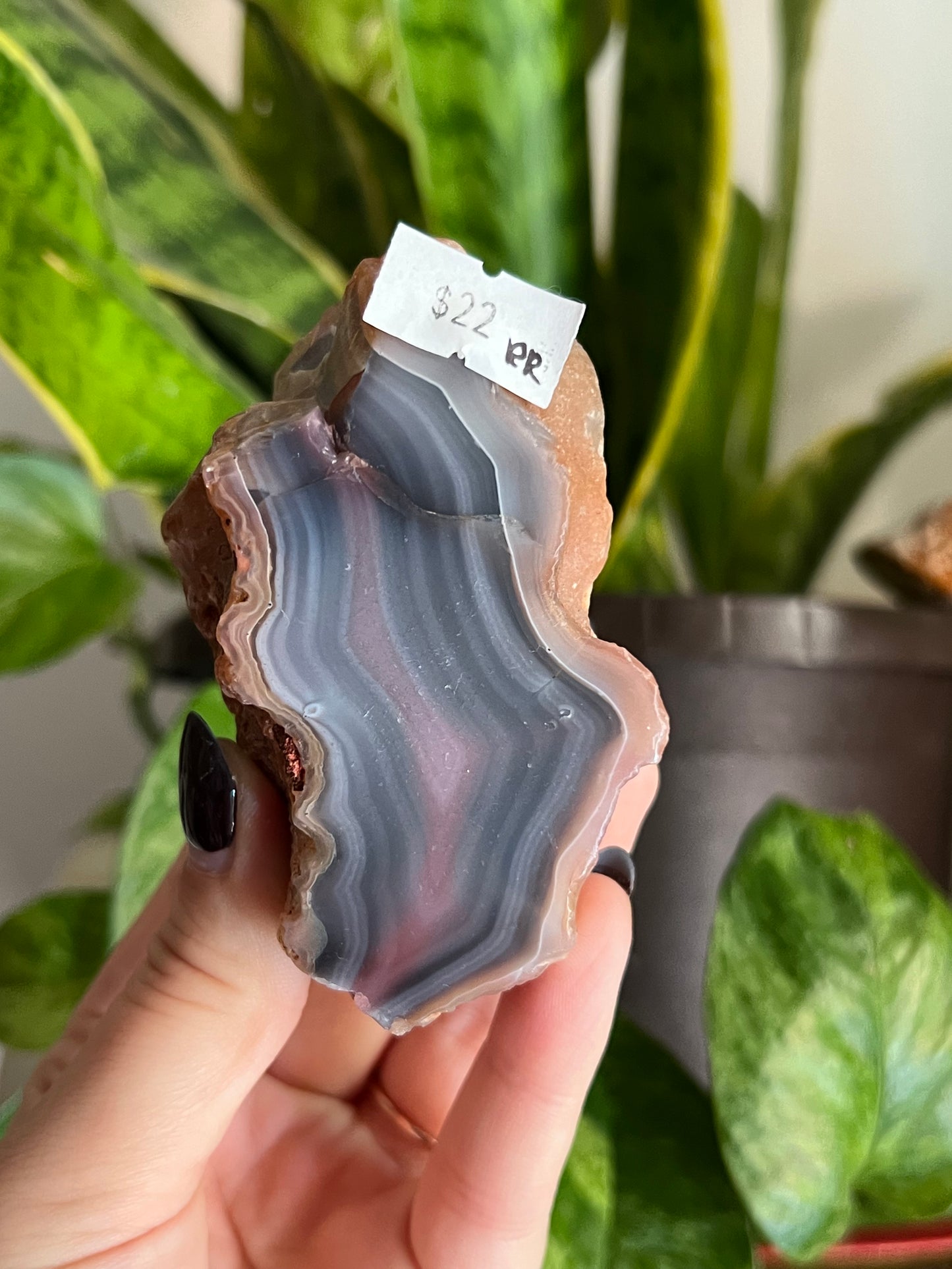 Red Sache River Agate Agate | 1 Left!