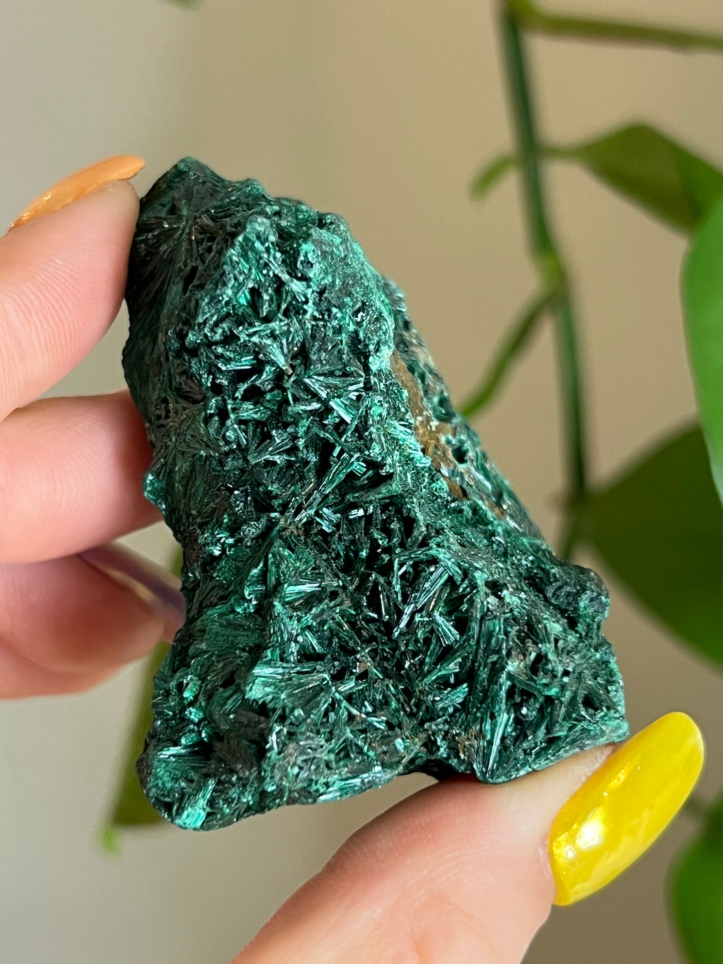 Velvet Malachite Raw L