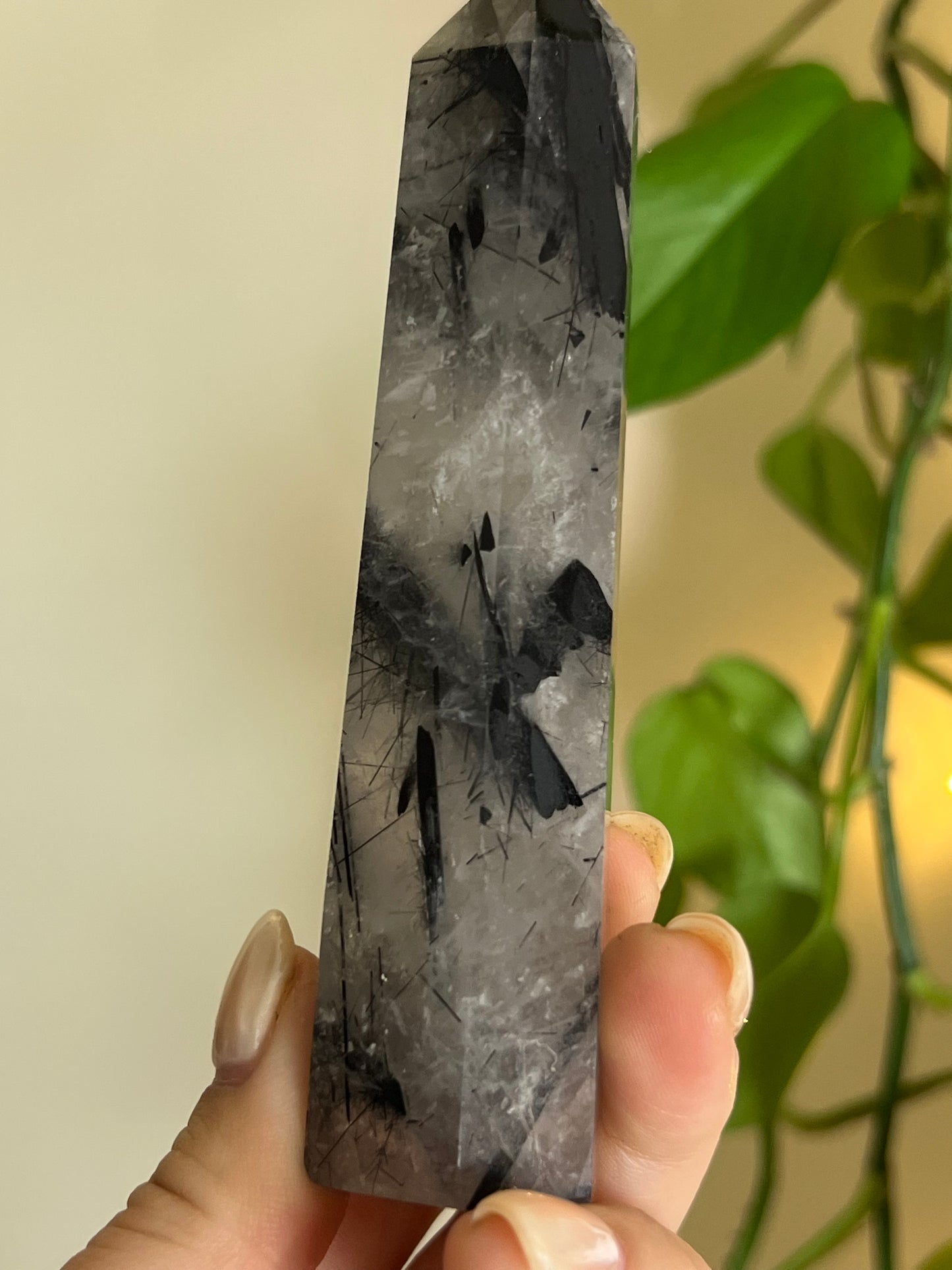 High Quality Black Tourmaline in Quartz Towers