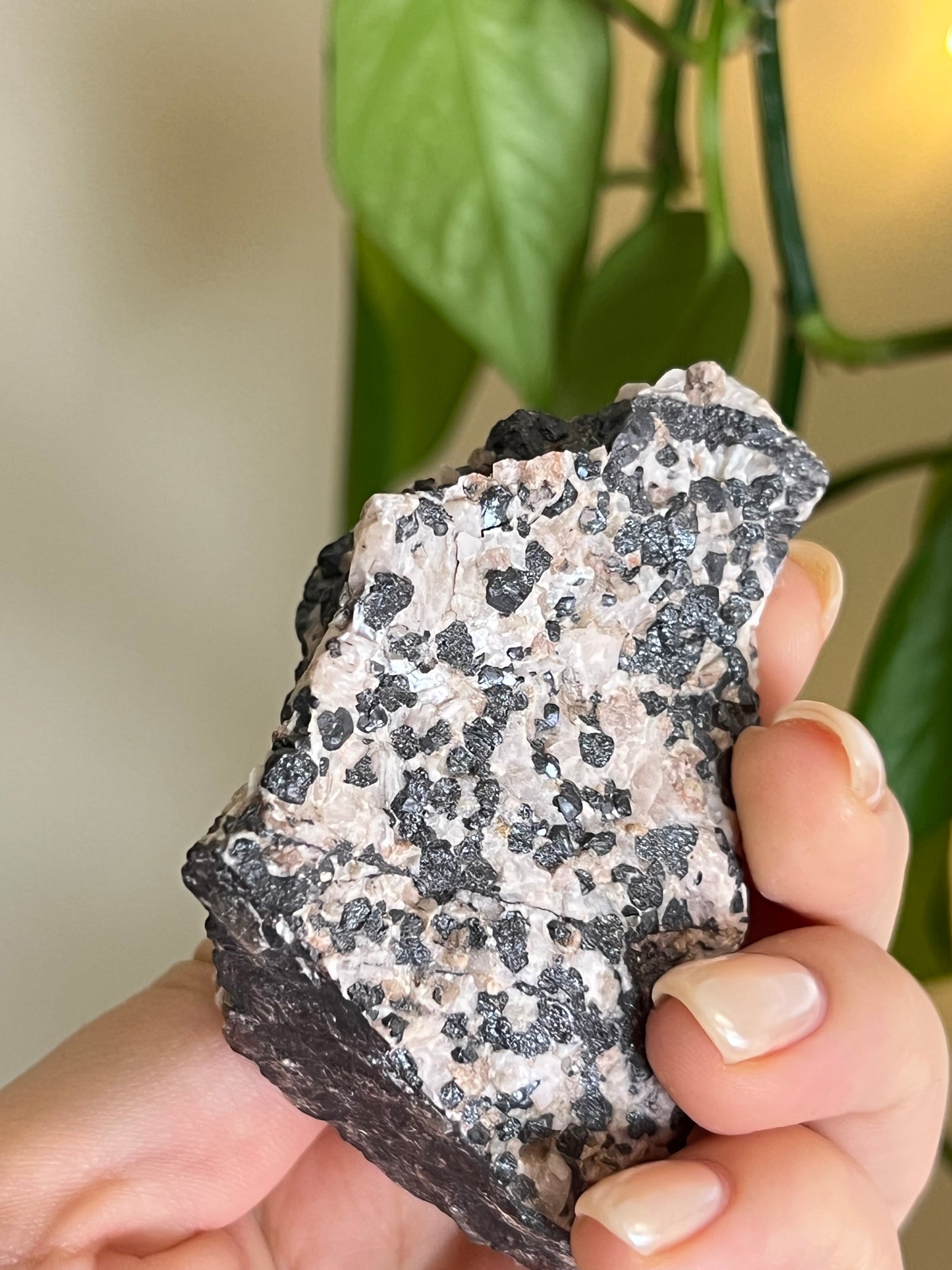 Willemite From Ontario