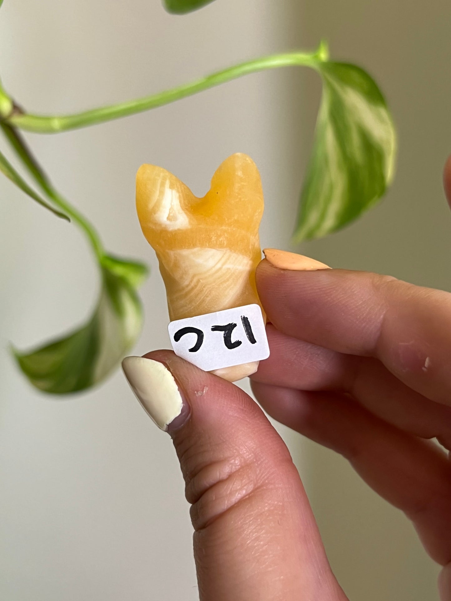 Orange Calcite Cozy Bat