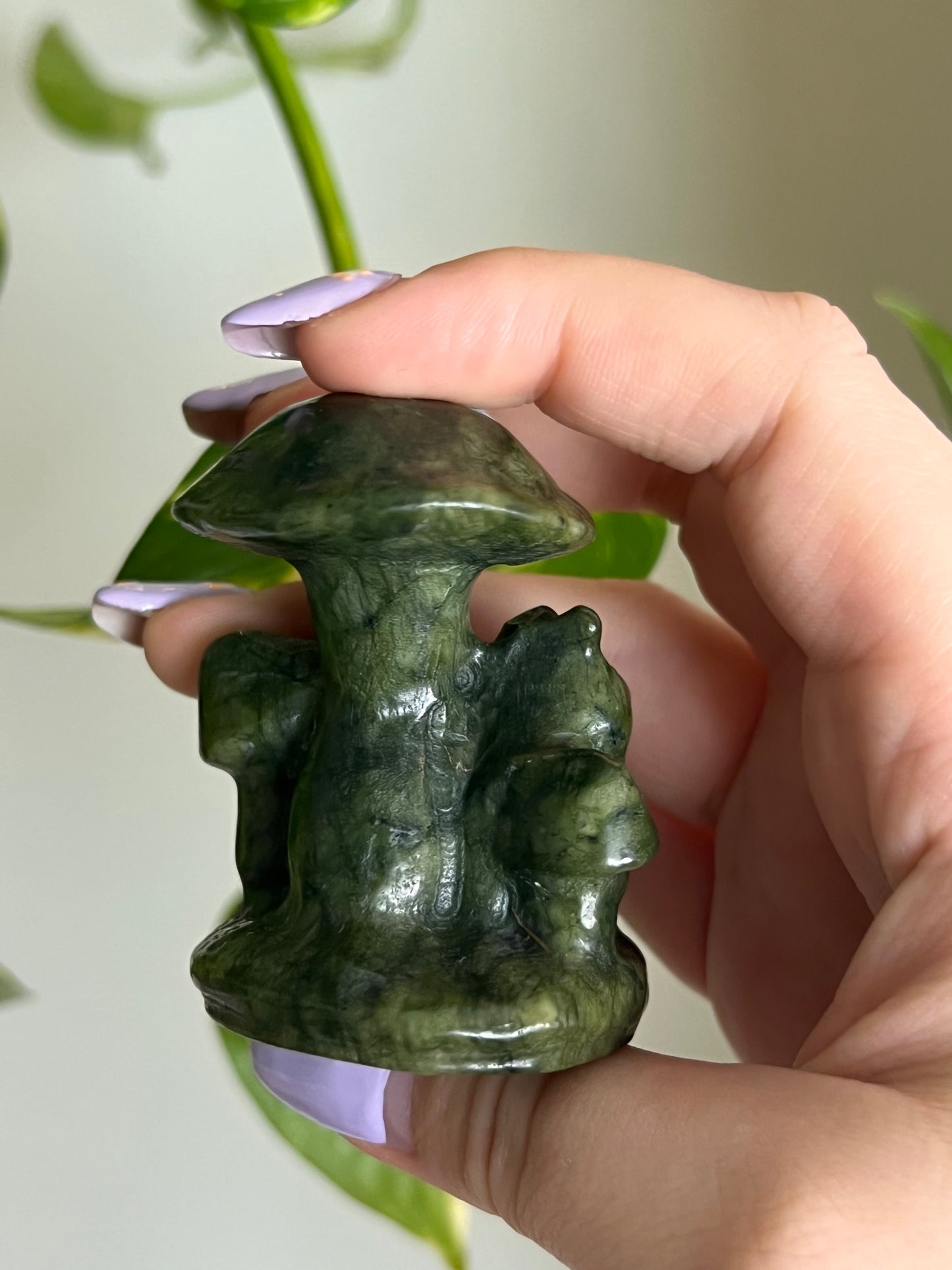 Jade Snail Under Mushroom - 4