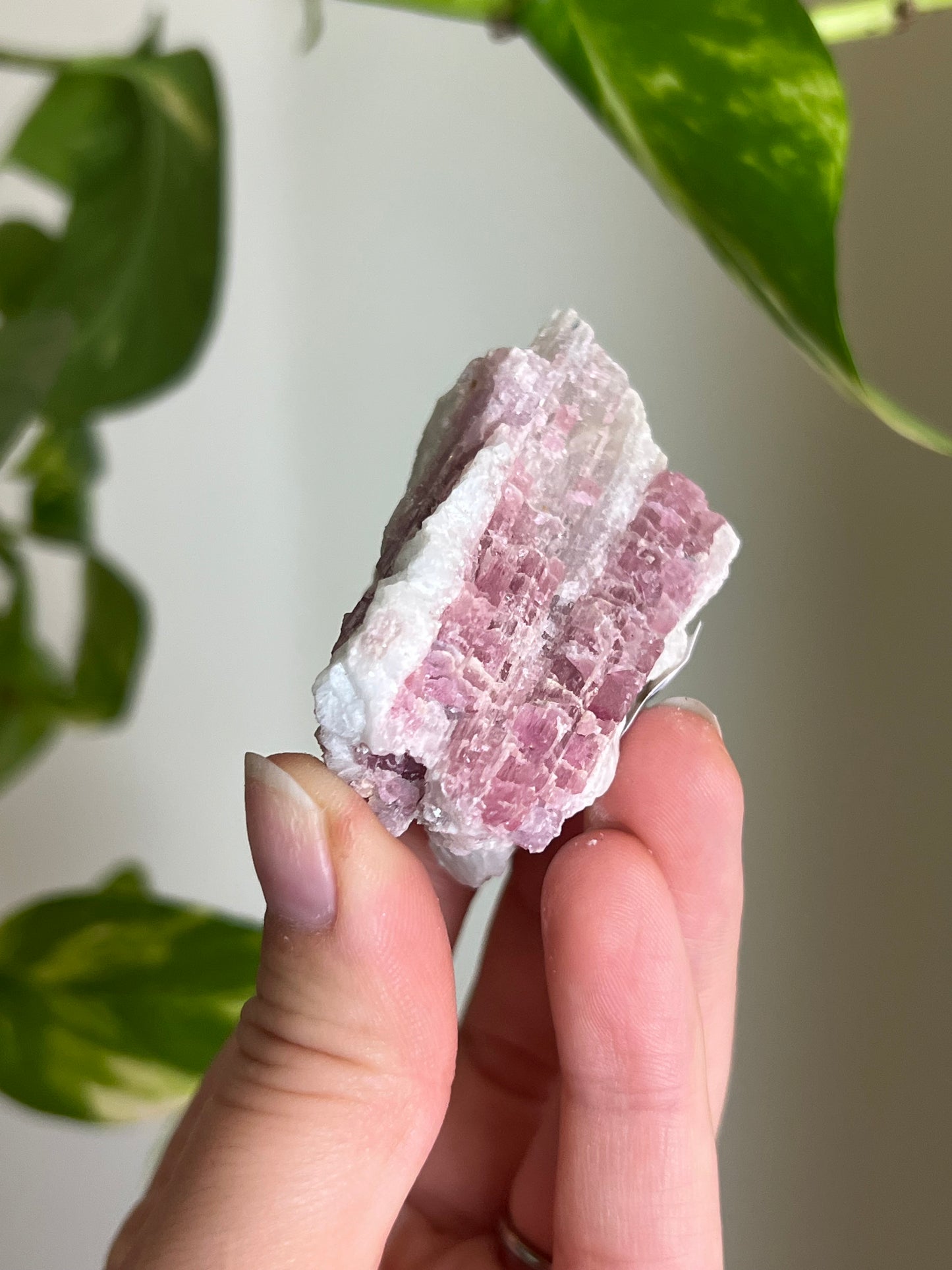 Pink Tourmaline on Matrix