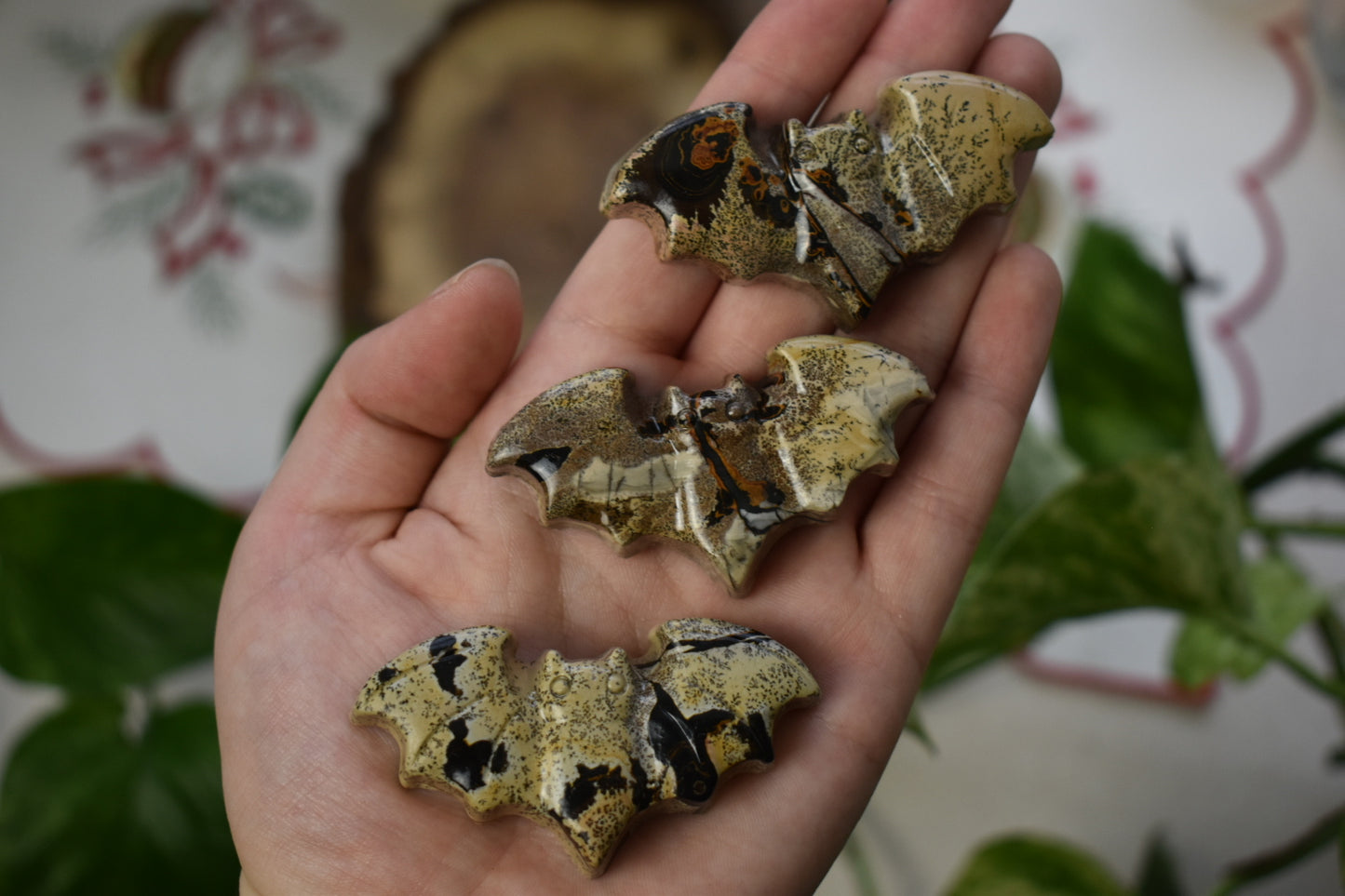 Picture Jasper Bat