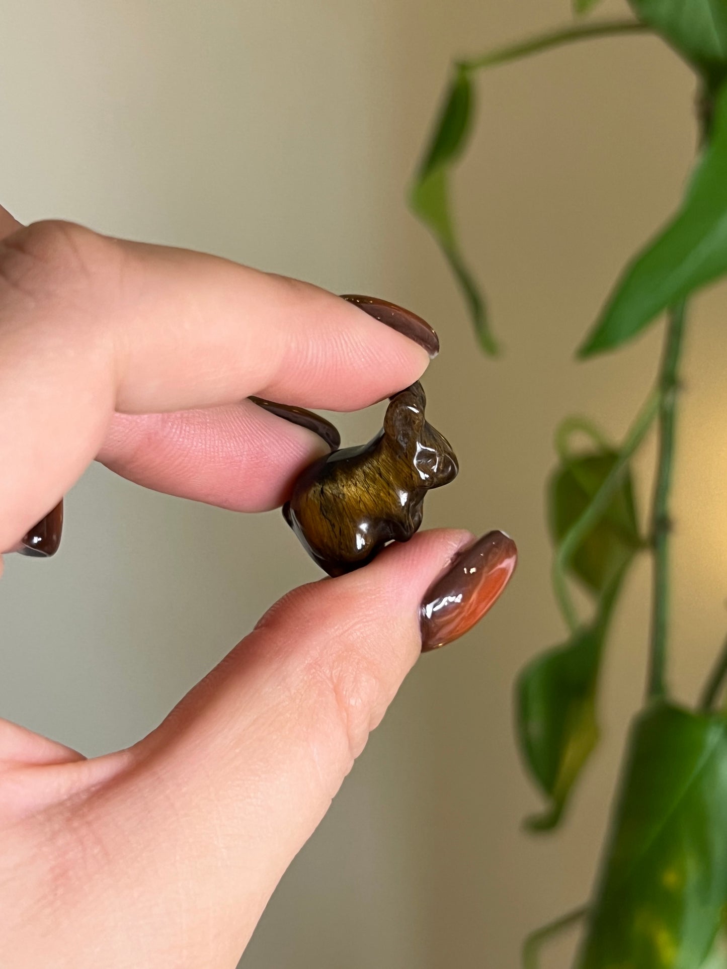 Mini Tigers Eye Rabbit