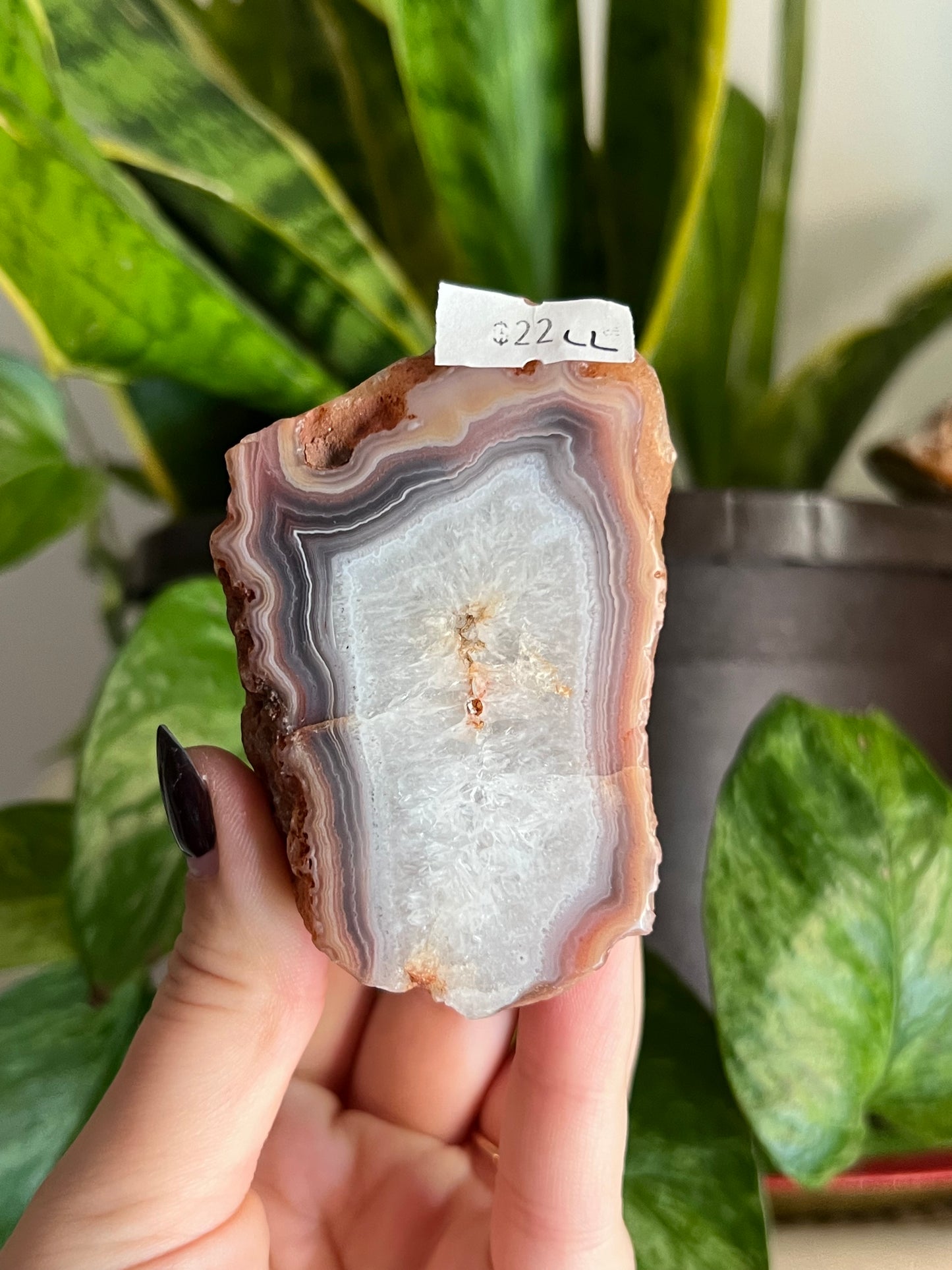 Red Sache River Agate Agate | Choose Your Own