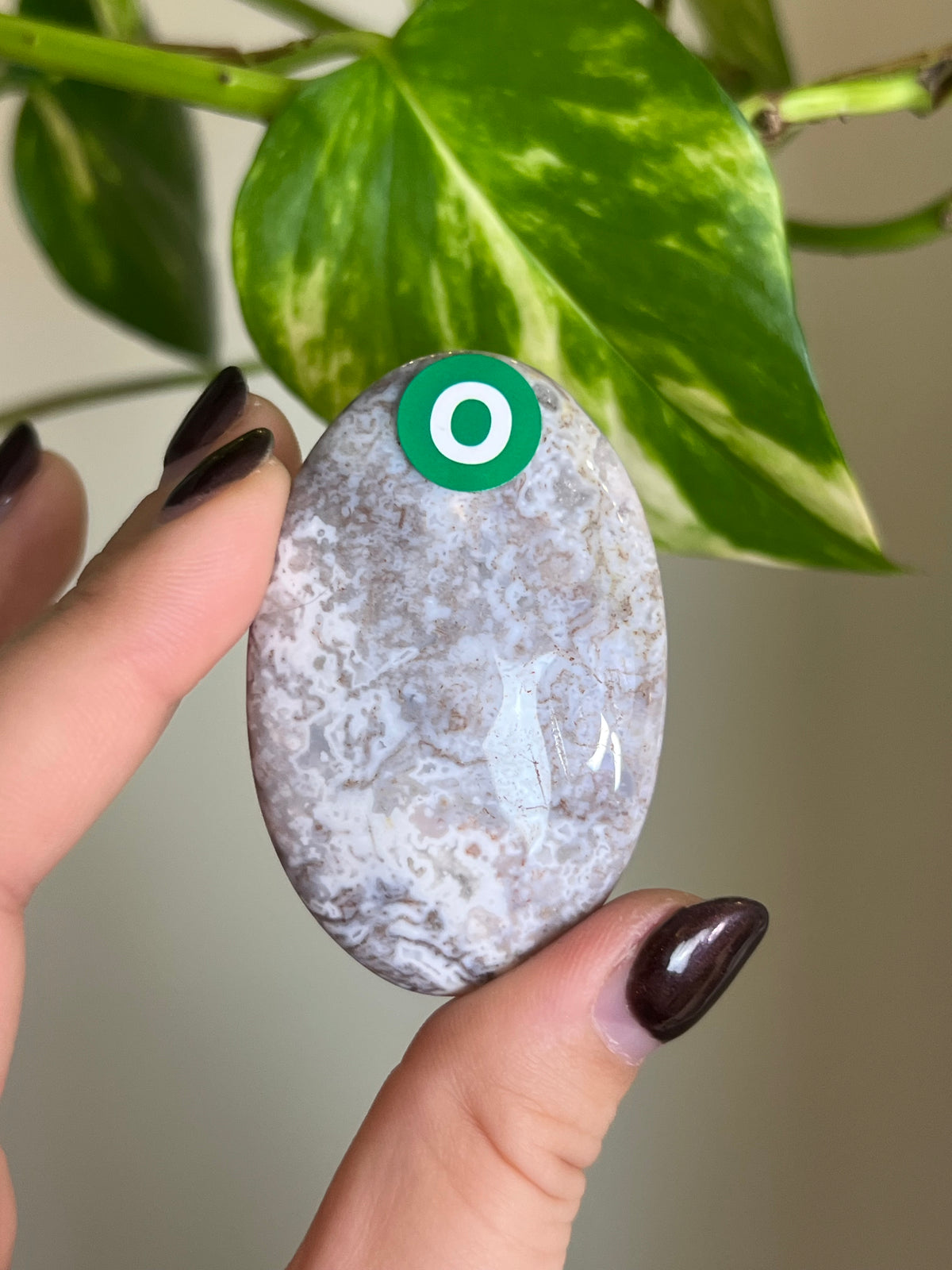 White Moss Agate Small Palm Stone - O