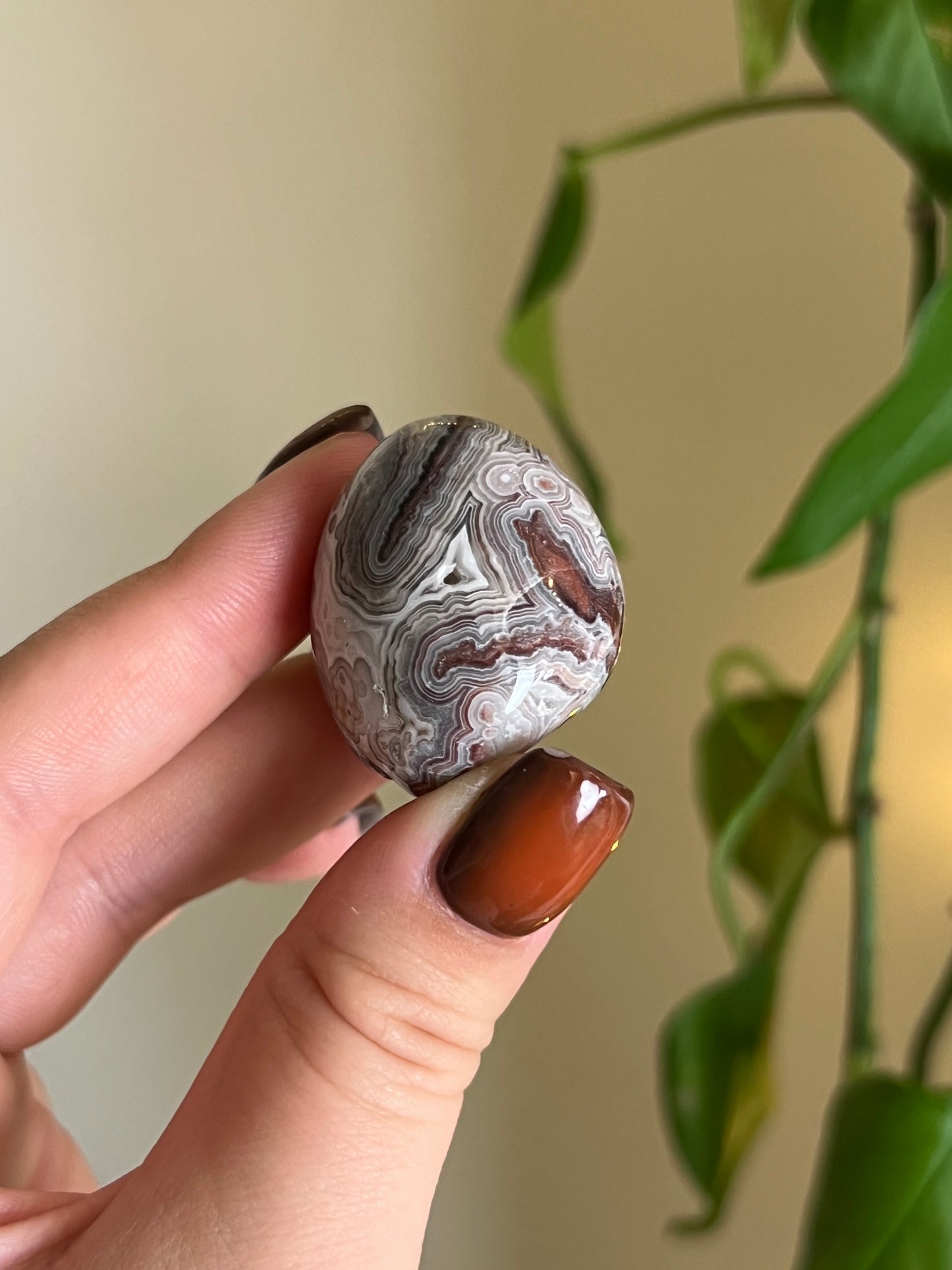 Mexican Lace Agate Tumbled