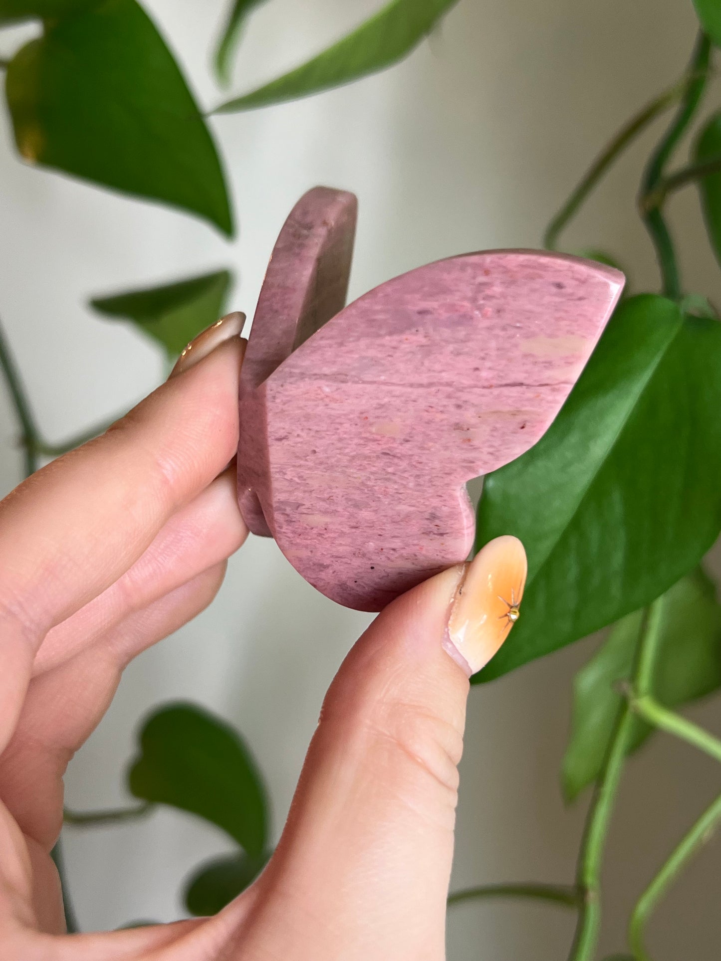 Pink Petrified Wood 3D Butterfly
