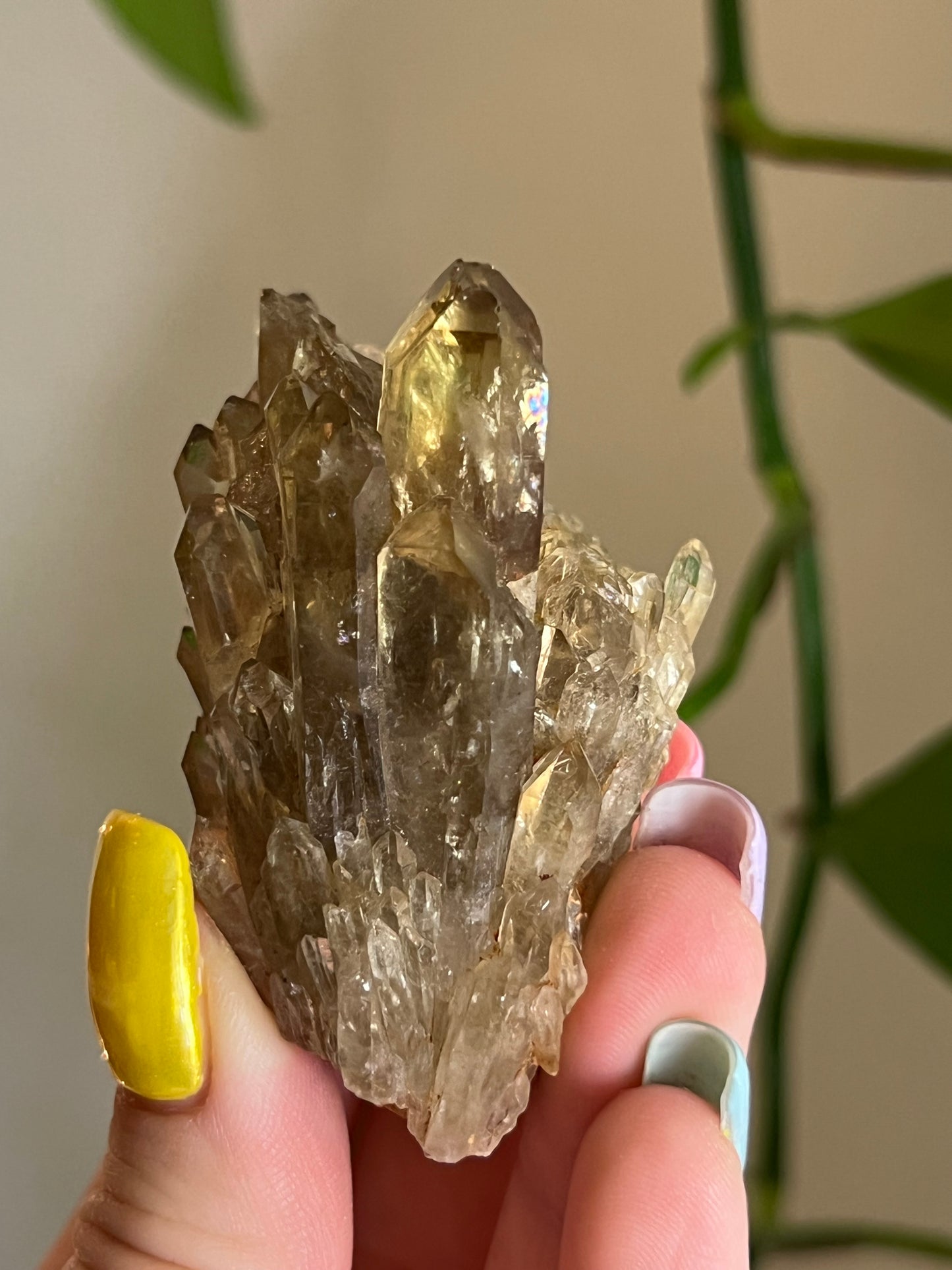 Natural Citrine Cluster