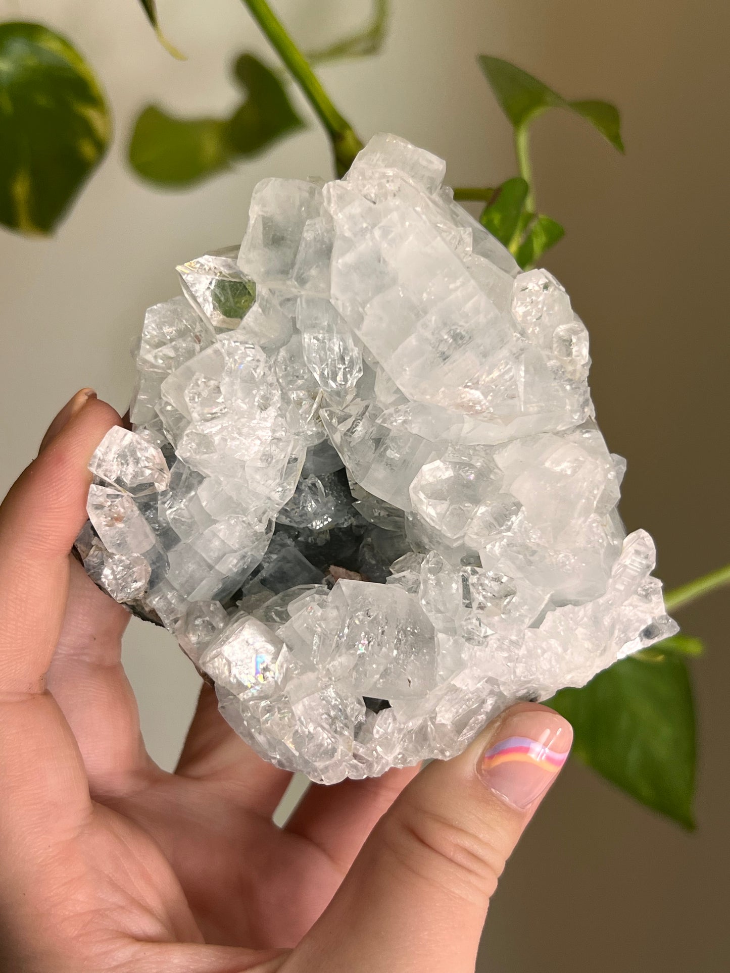 Apophyllite Cluster - Y