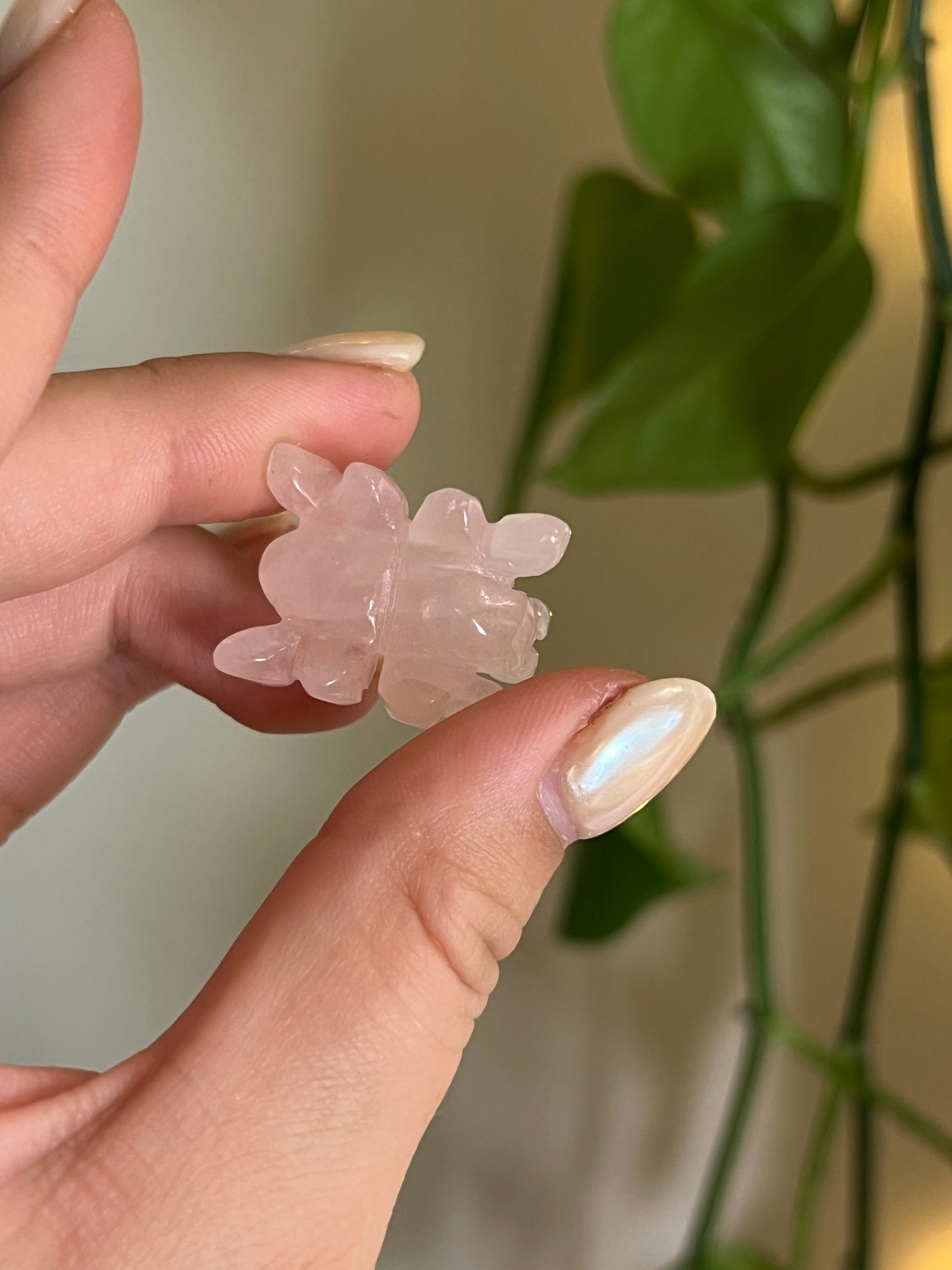 Rose Quartz Small Spider
