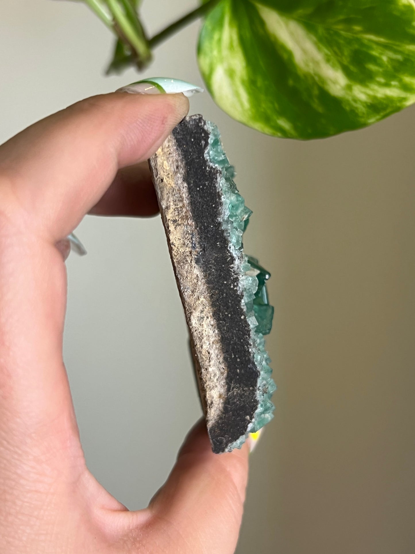 Green Cubic Fluorite Cluster - N