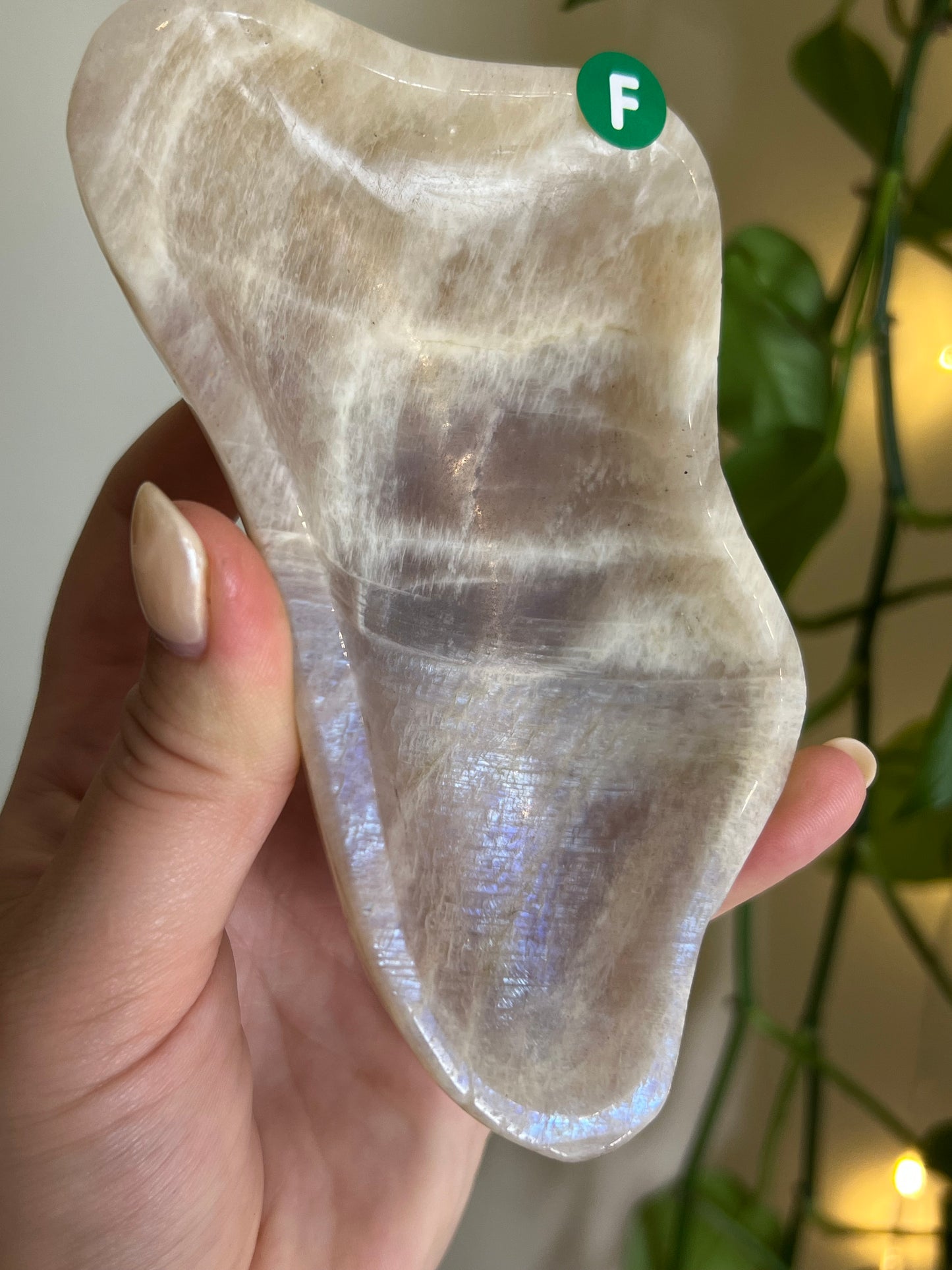 Flashy Moonstone Bowl - F