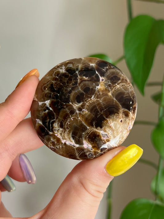 Chocolate Calcite Flat Stone