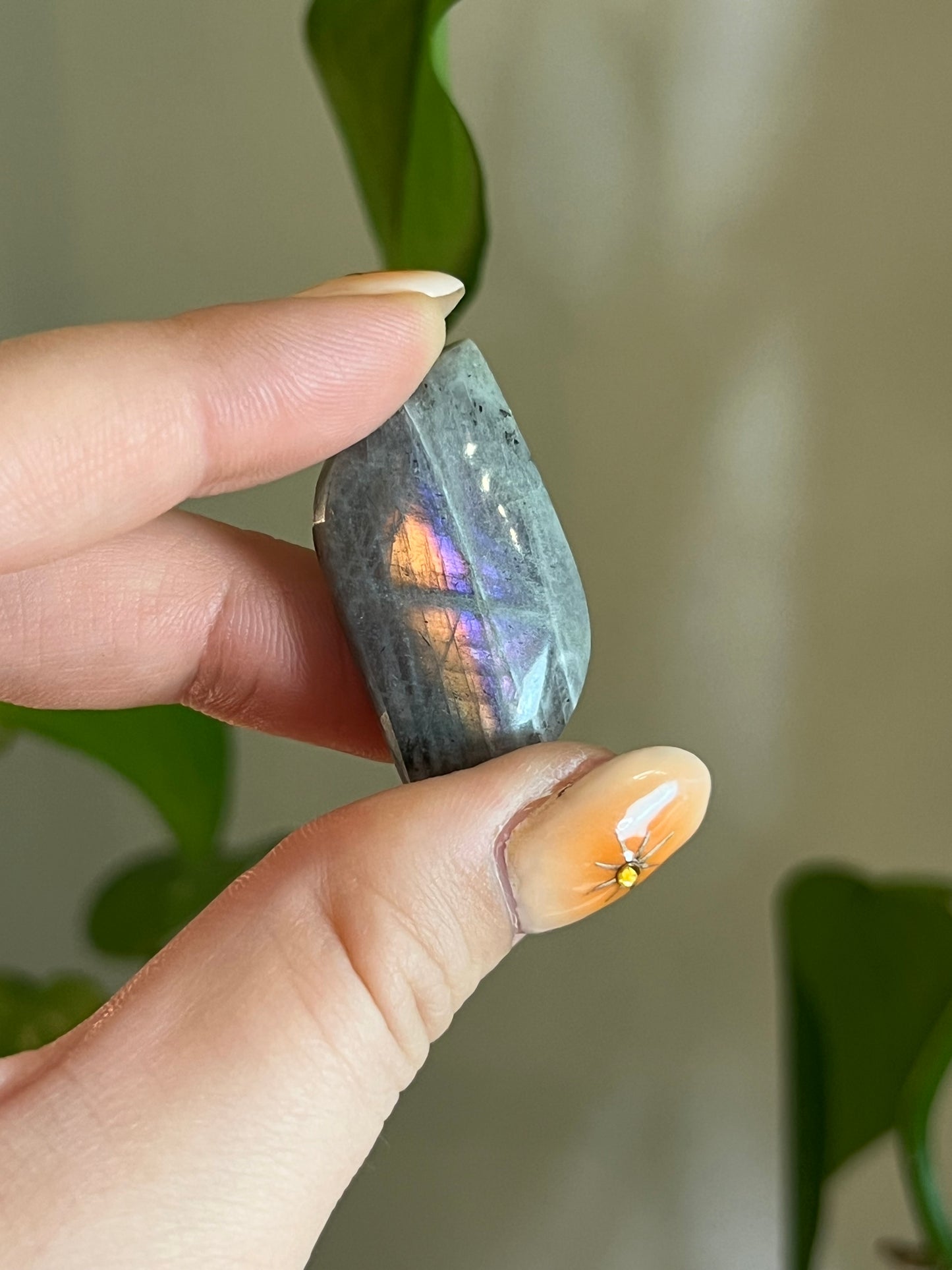 Labradorite Cabachon