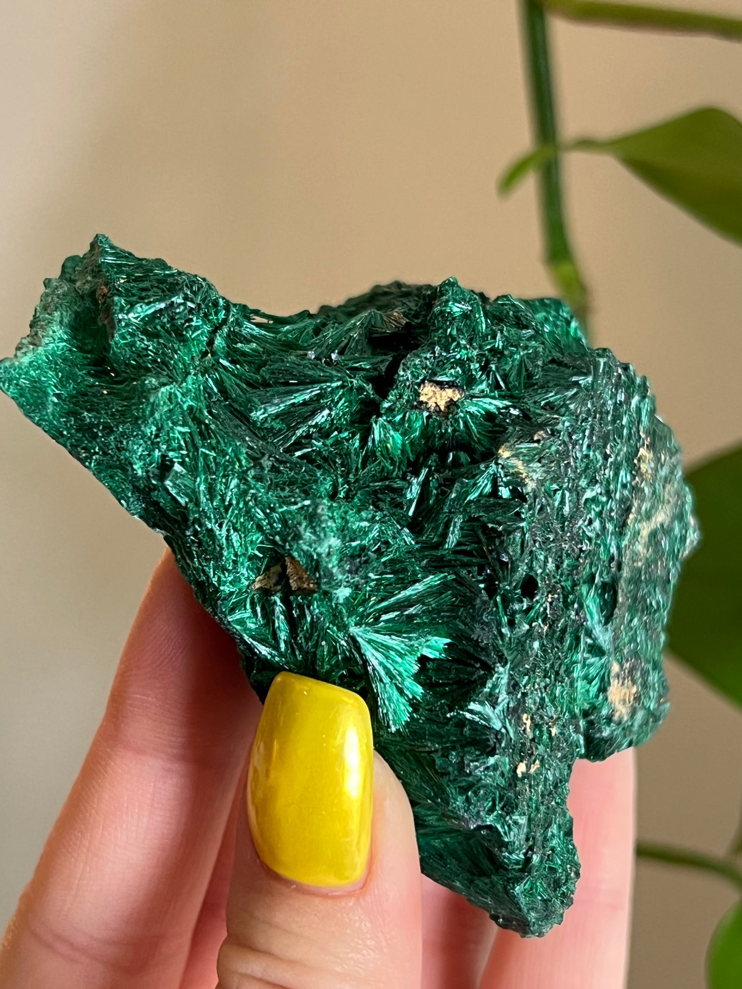 Velvet Malachite Raw B