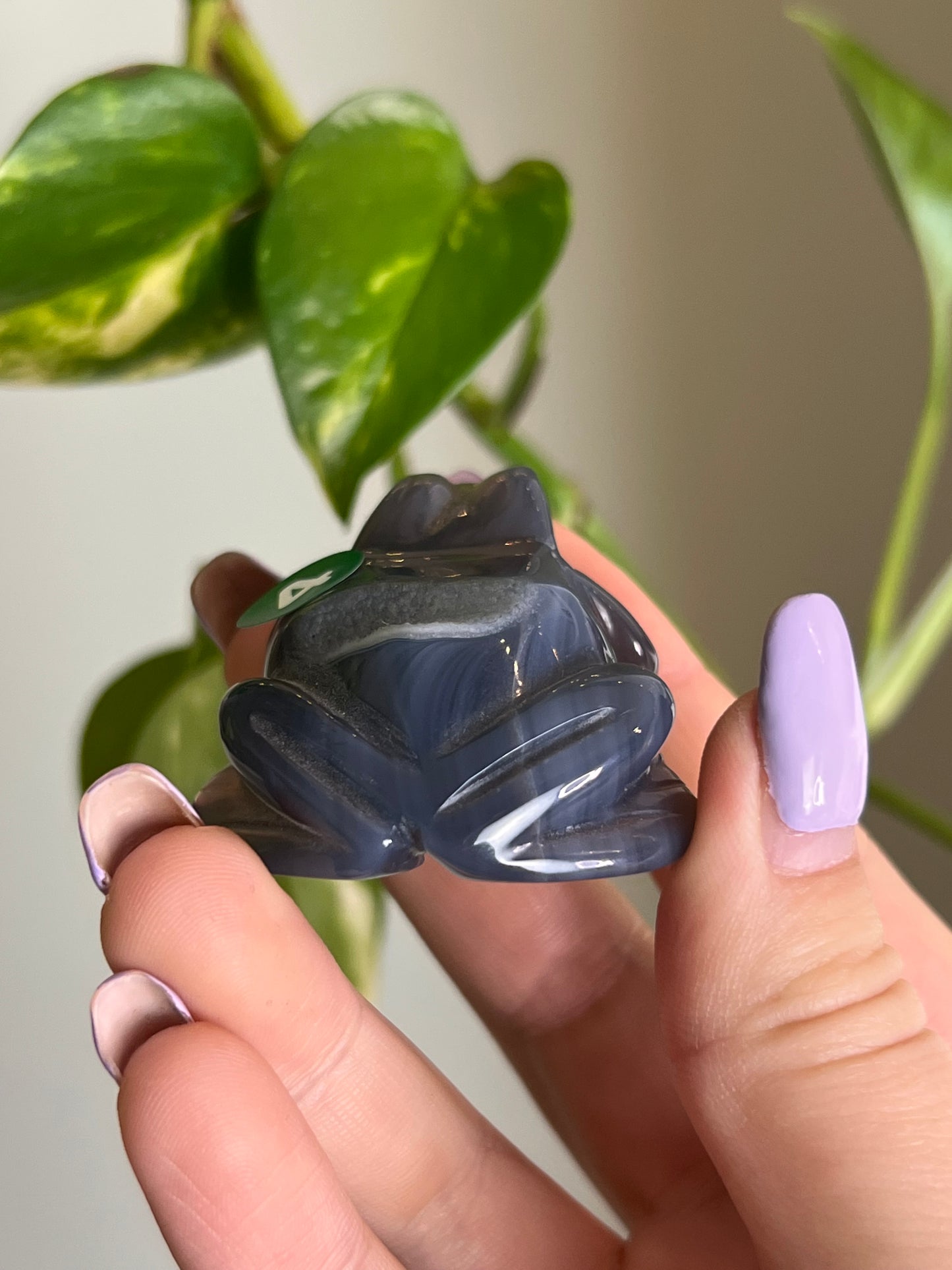 Druzy Agate Frog - 4