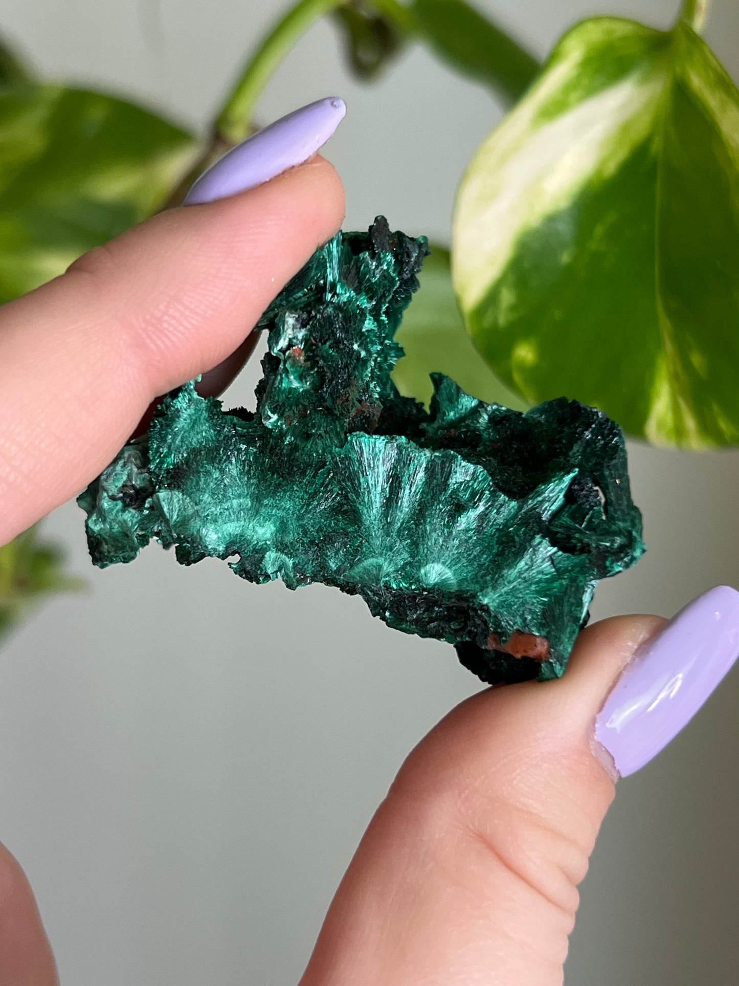 Fibrous Malachite - A