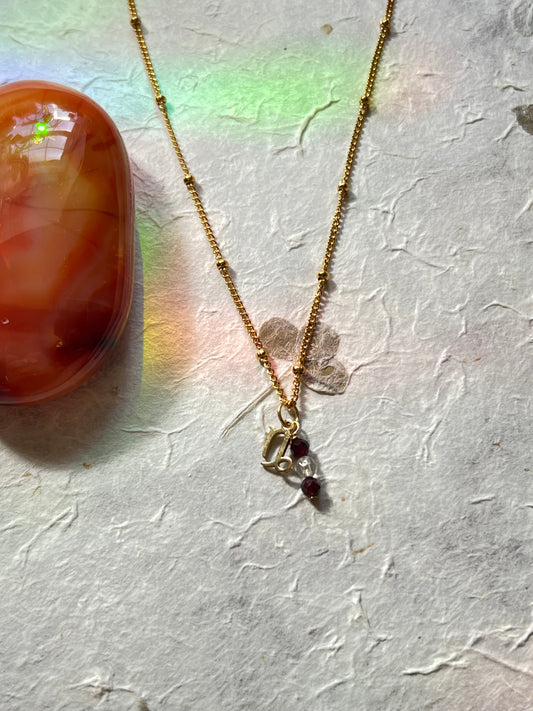 Capricorn Zodiac Sign Gemstone Gold Necklace