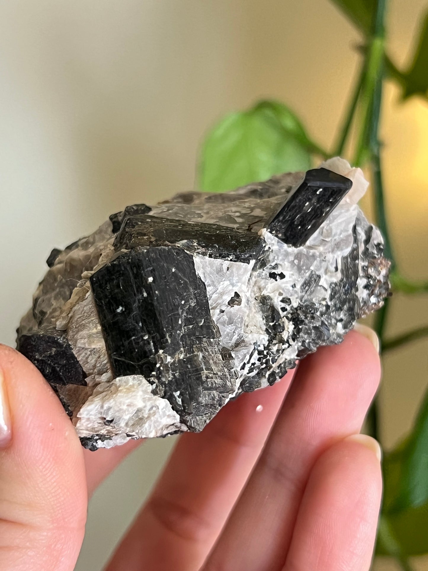 Fluororichterite & Mica Specimen From Ontario T