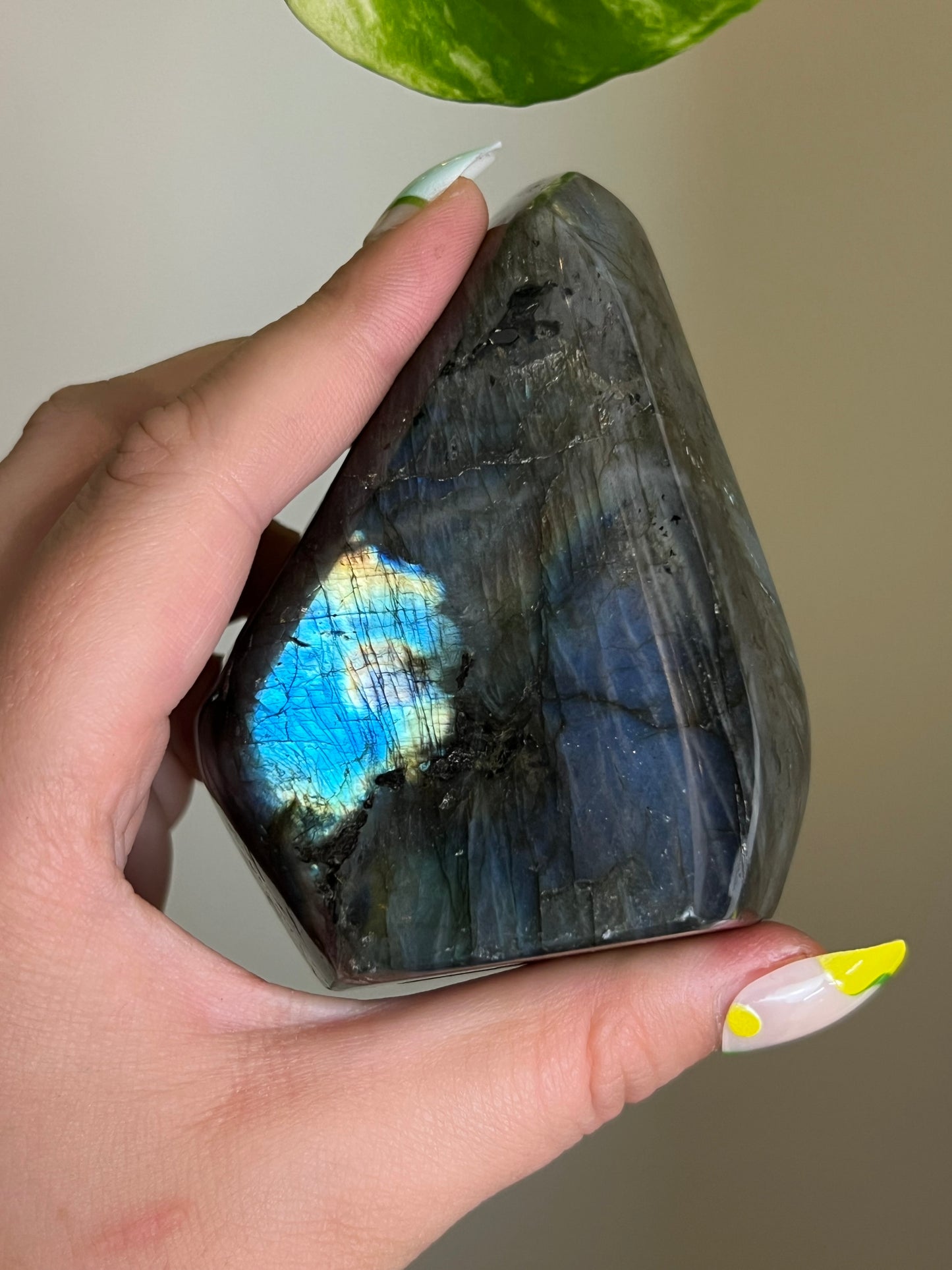 Flashy Labradorite Freeform - Y
