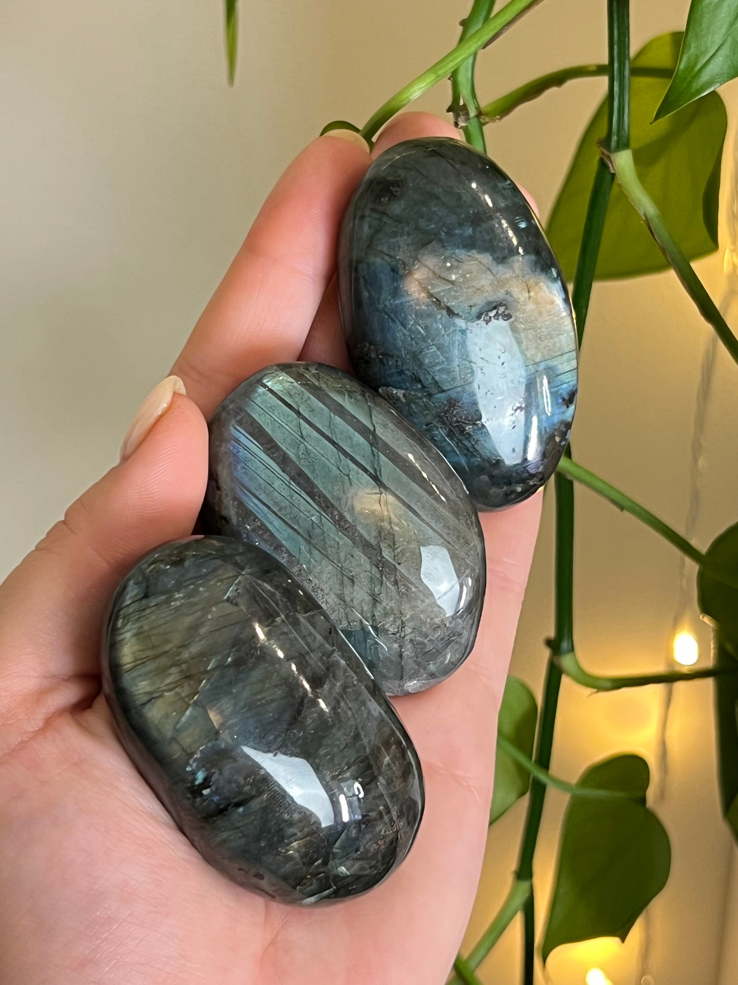 Flashy Labradorite Palm Stone - Intuitively Chosen