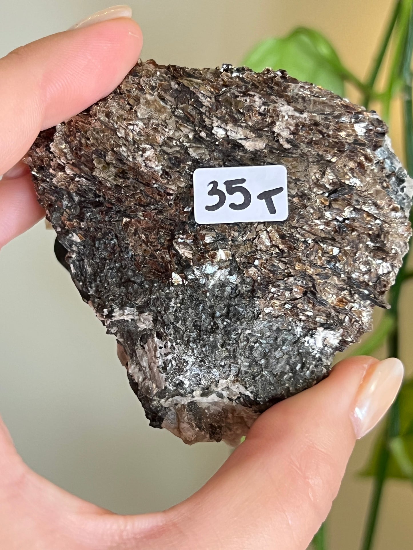 Fluororichterite & Mica Specimen From Ontario T