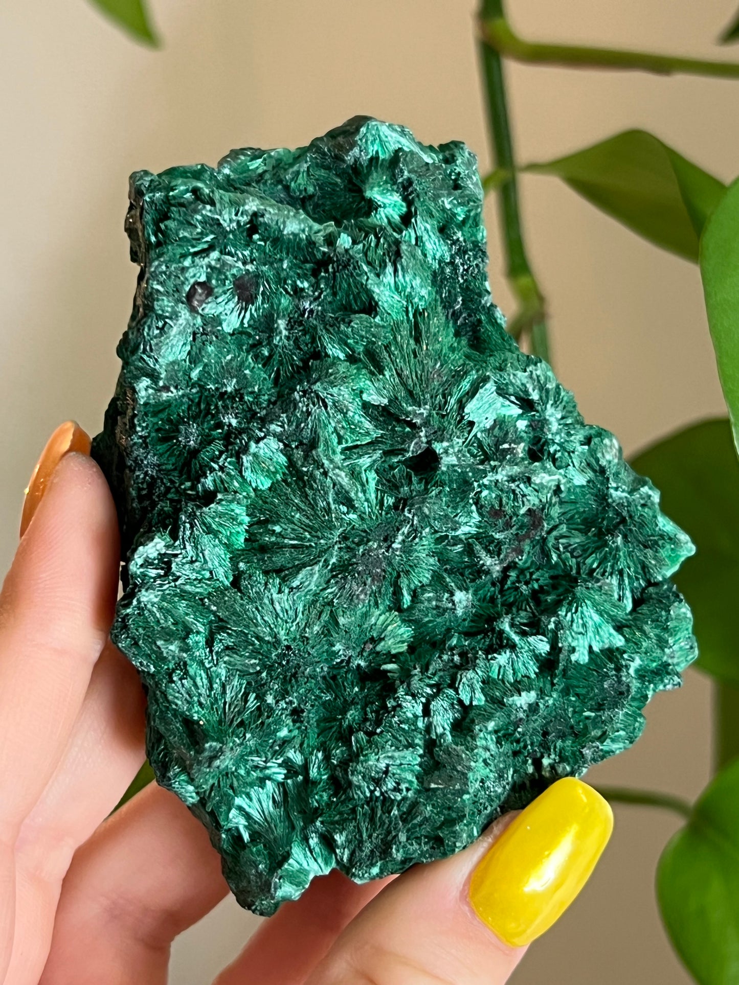 Velvet Malachite Raw C