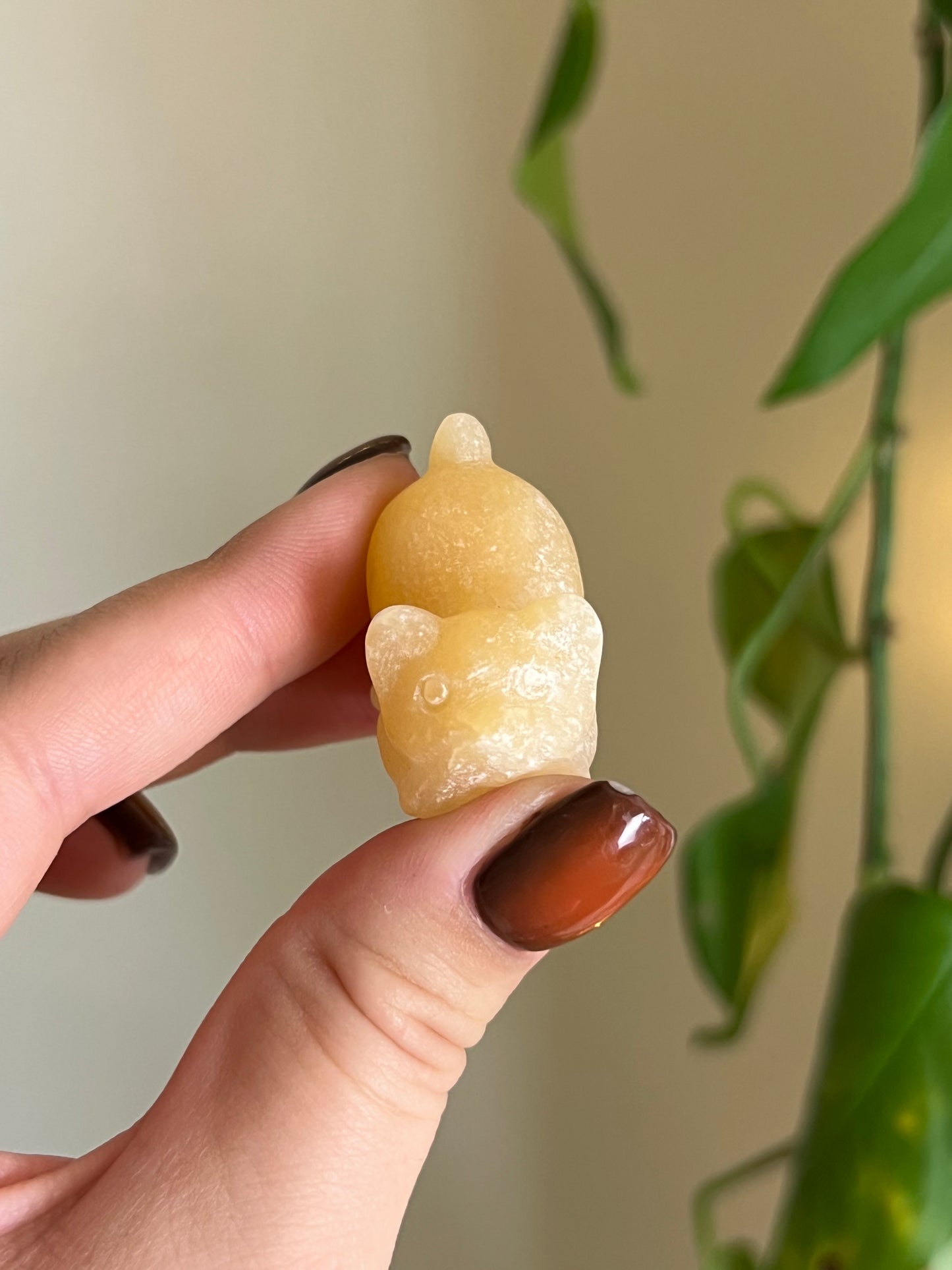 Orange Calcite Playful Cat