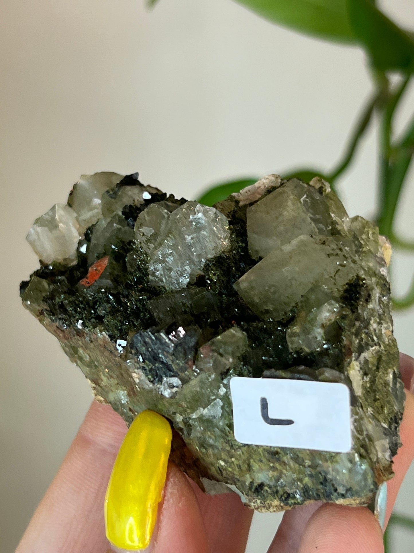 Forest Epidote Quartz Cluster - L