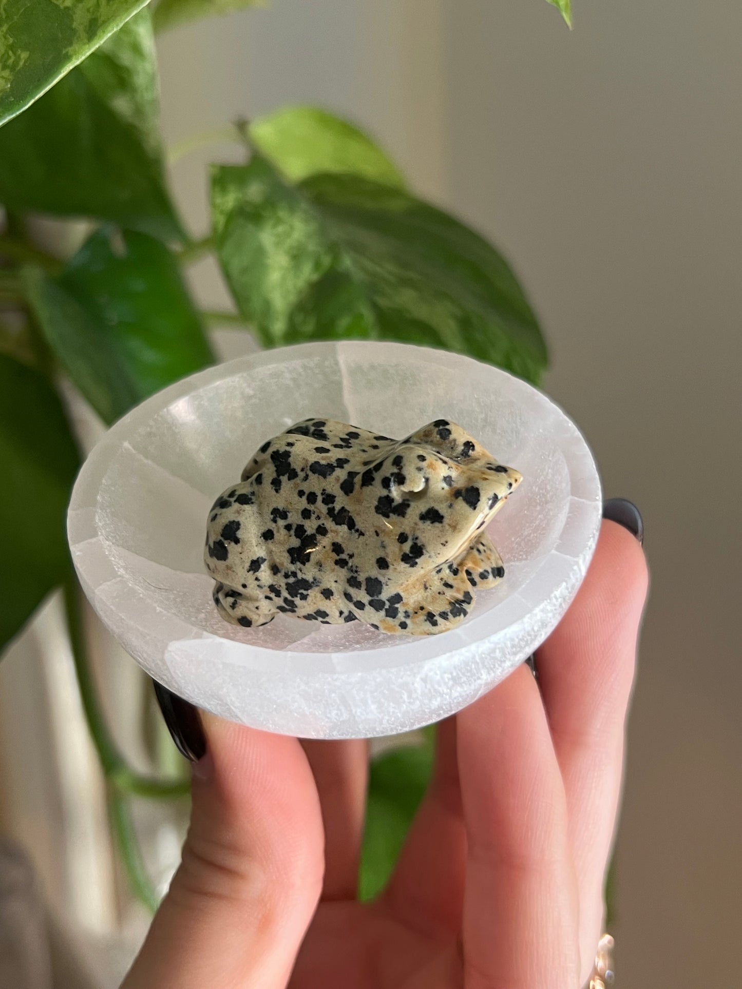 Selenite Satin Spar Mini Bowl