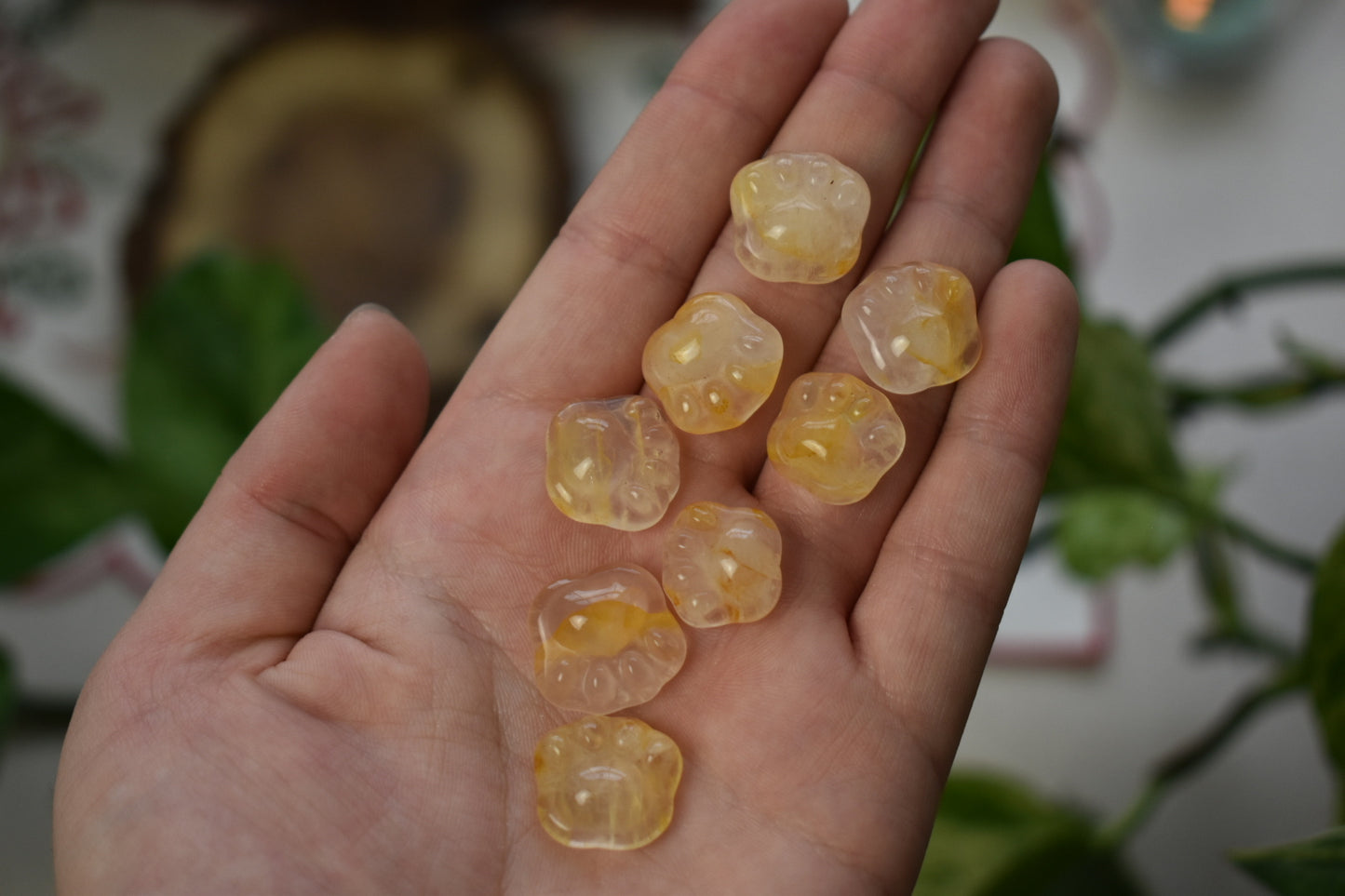 Golden Healer Mini Toe Bean