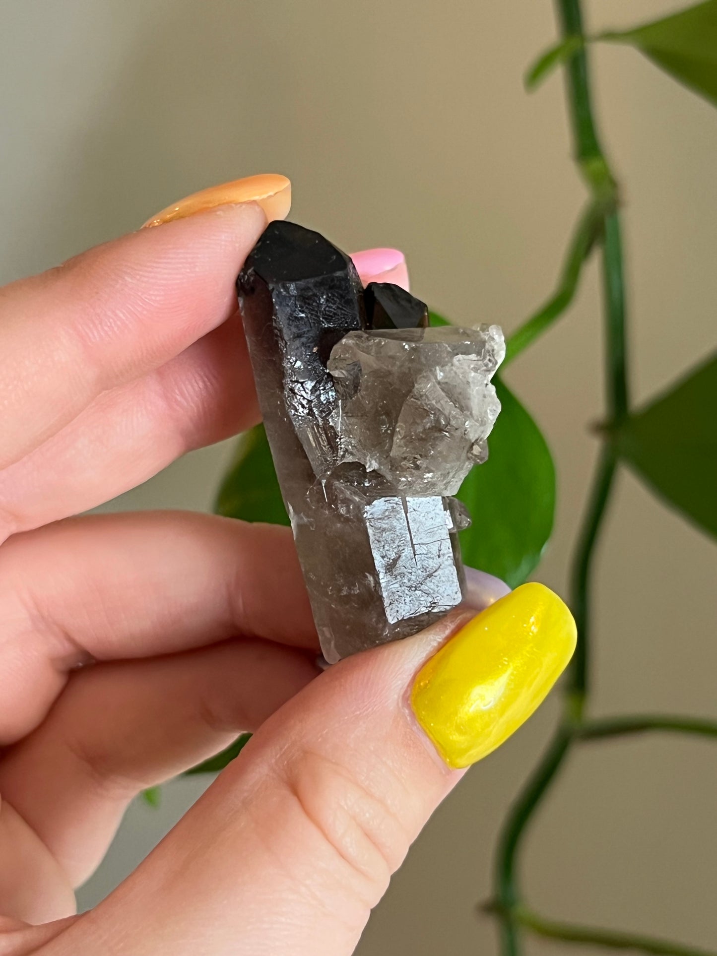 Mini Smoky Quartz Cluster Q