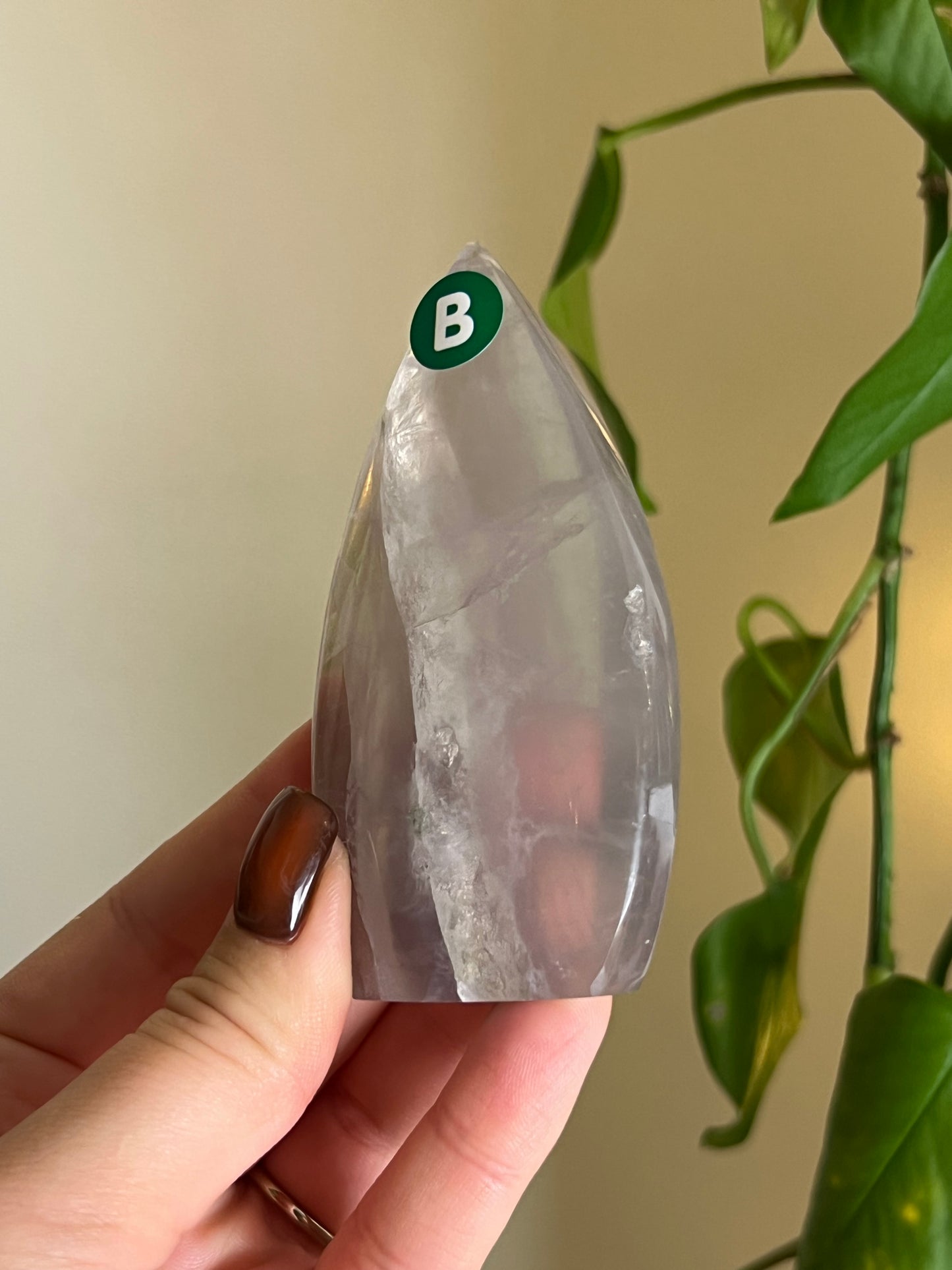 Pastel Fluorite Freeform - B
