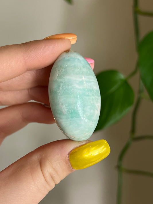 Caribbean Calcite Bean Small