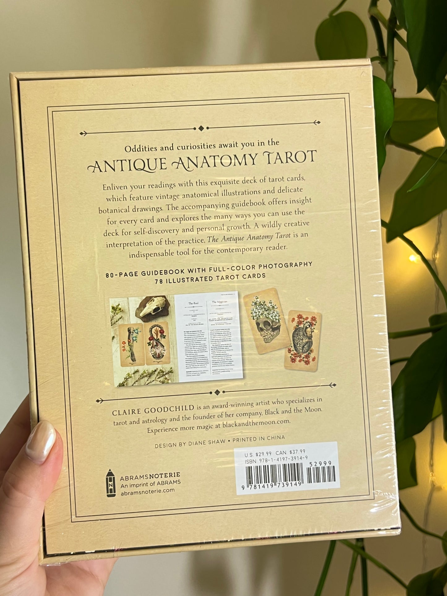 The Antique Anatomy Tarot Deck