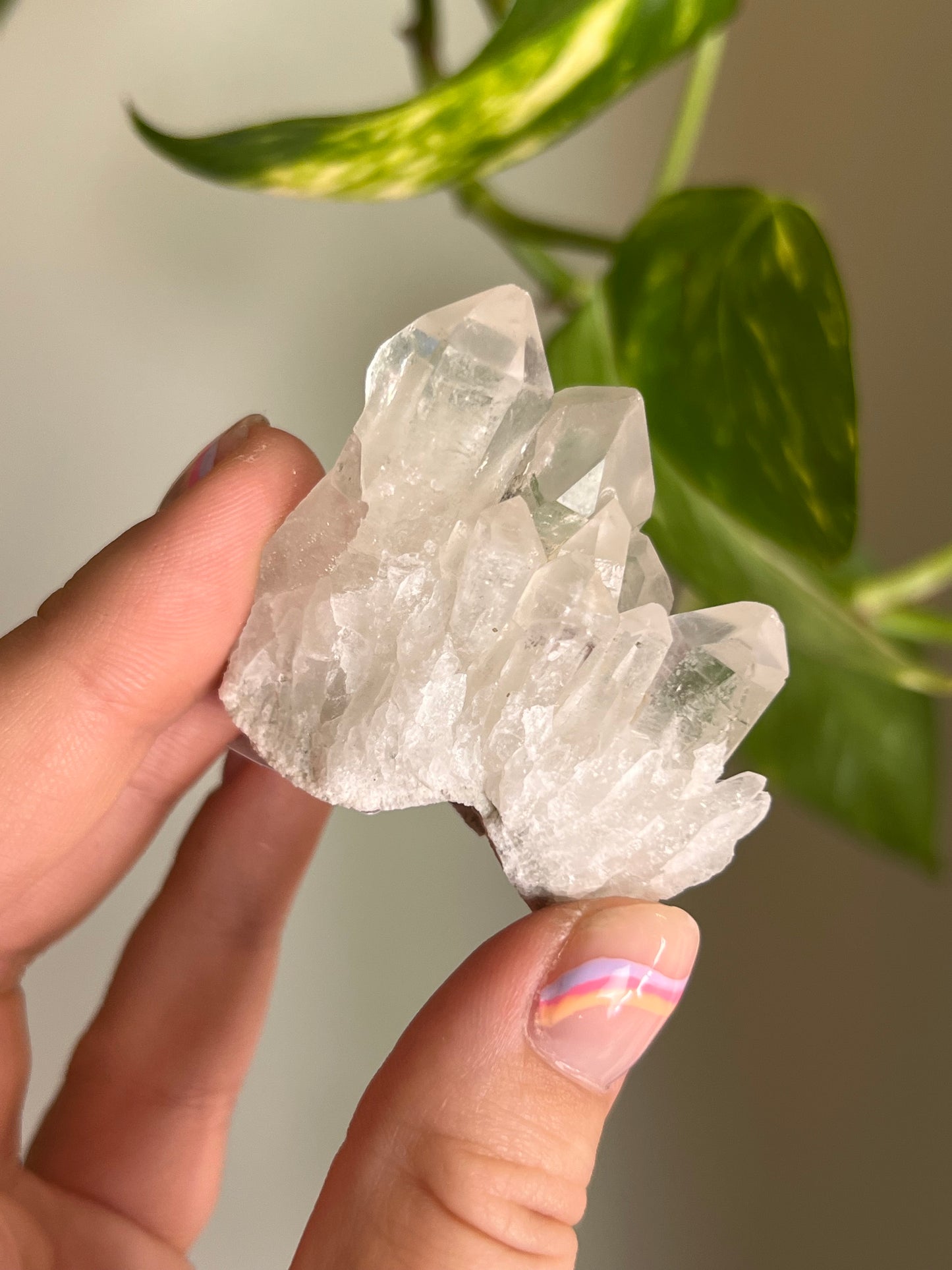 Clear Quartz Cluster - C