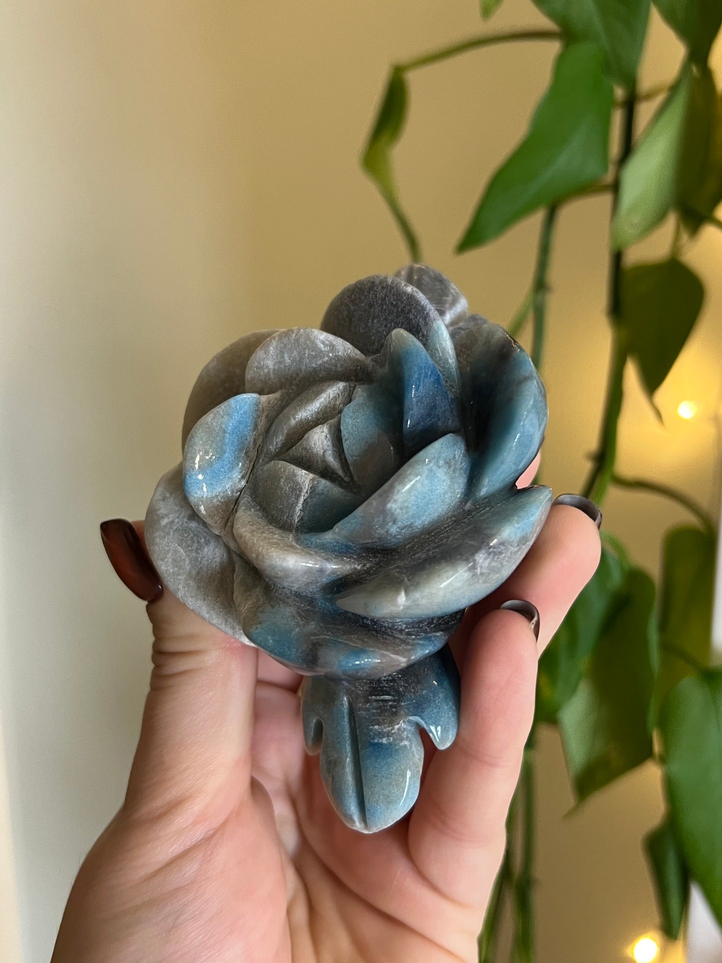 Trolleite Large Flower - O