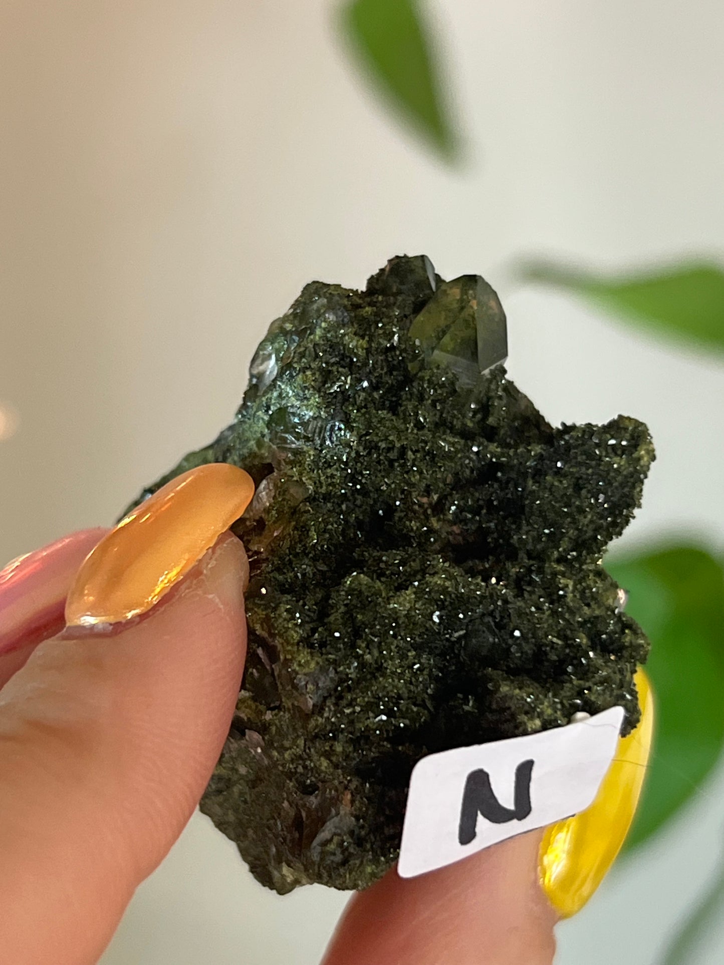 Forest Epidote Quartz Cluster - N