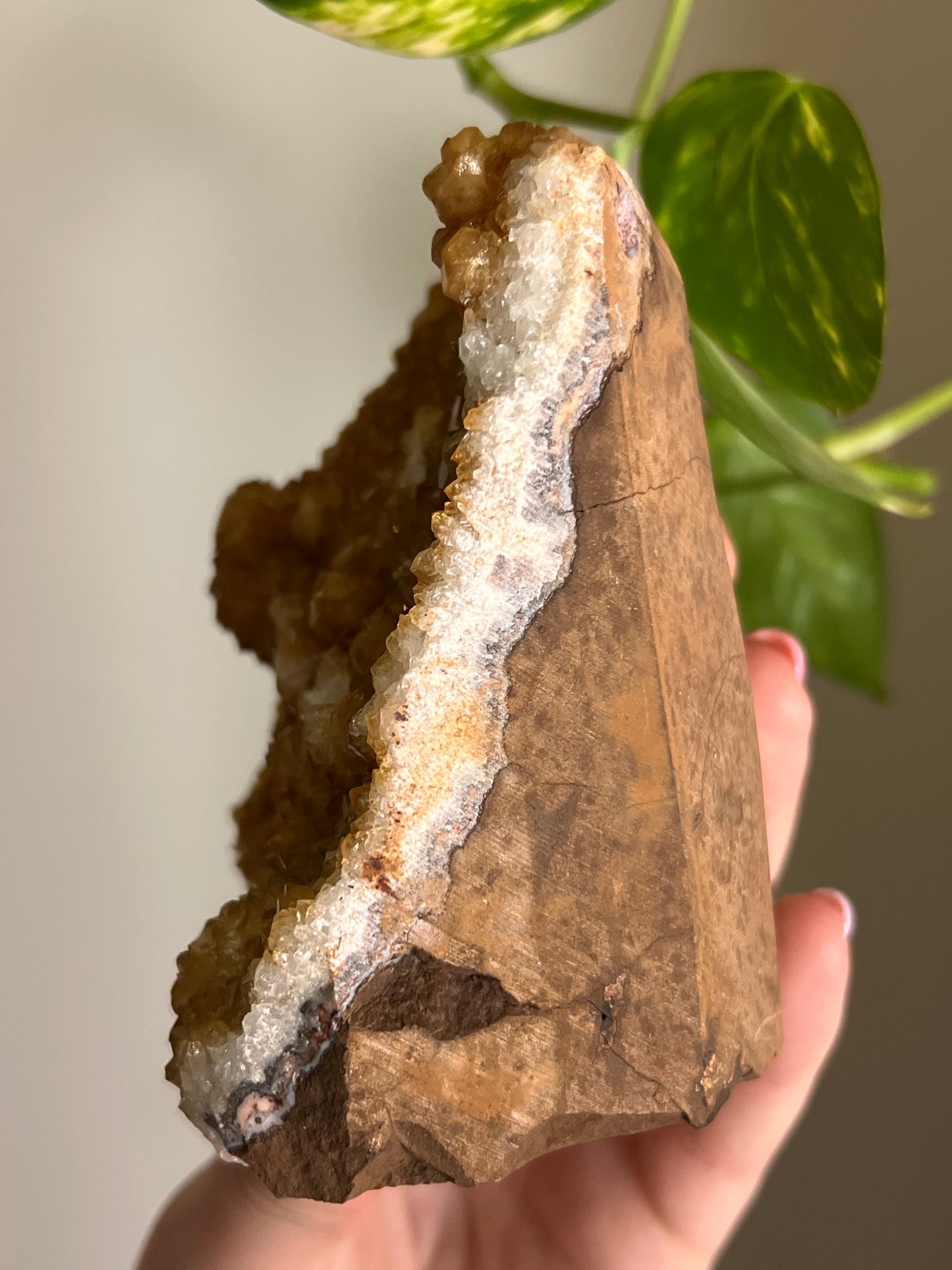 Citrine Cluster Cut Base