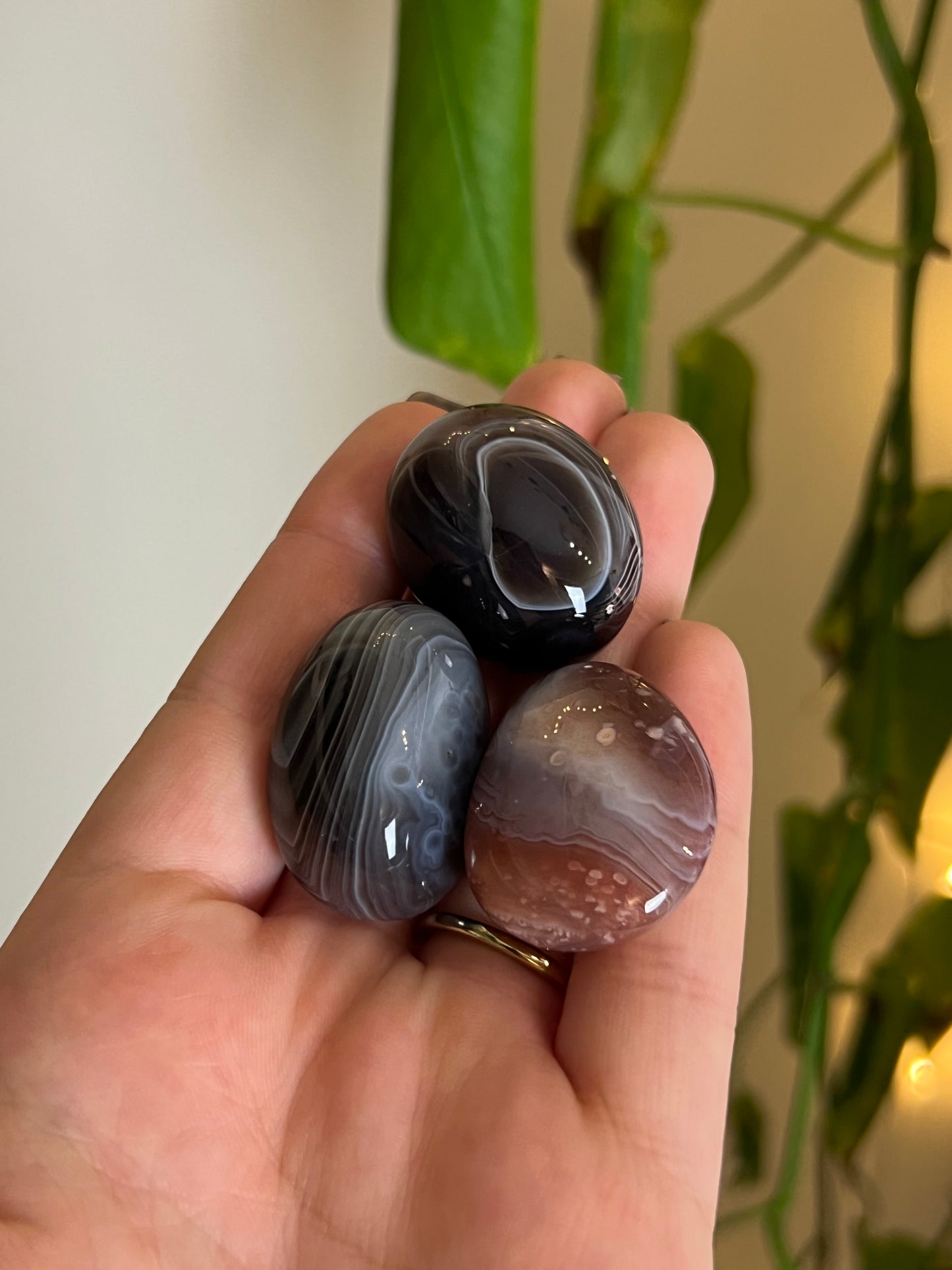 Botswana Agate Tumbled