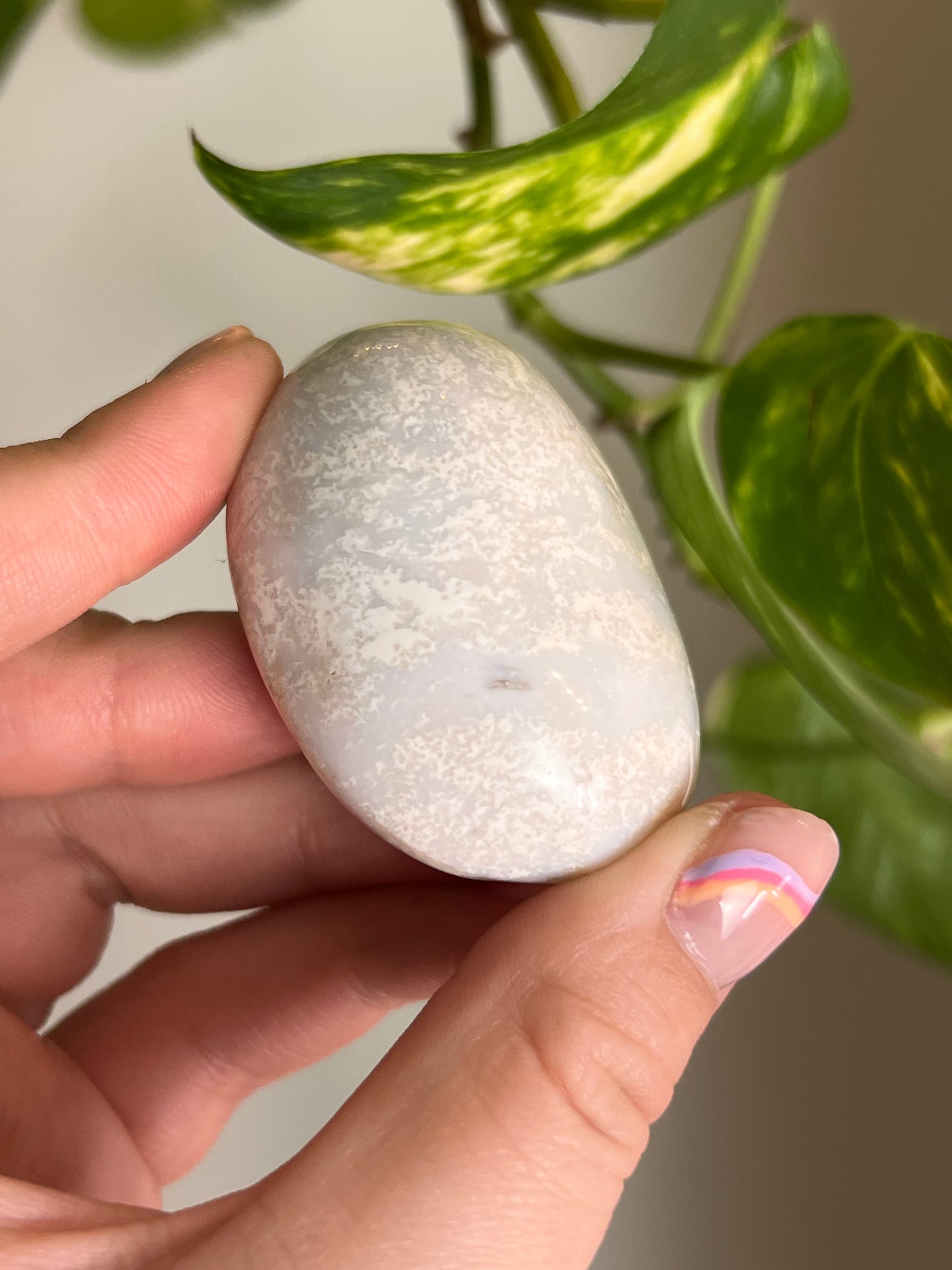 White Ocean Jasper Palm