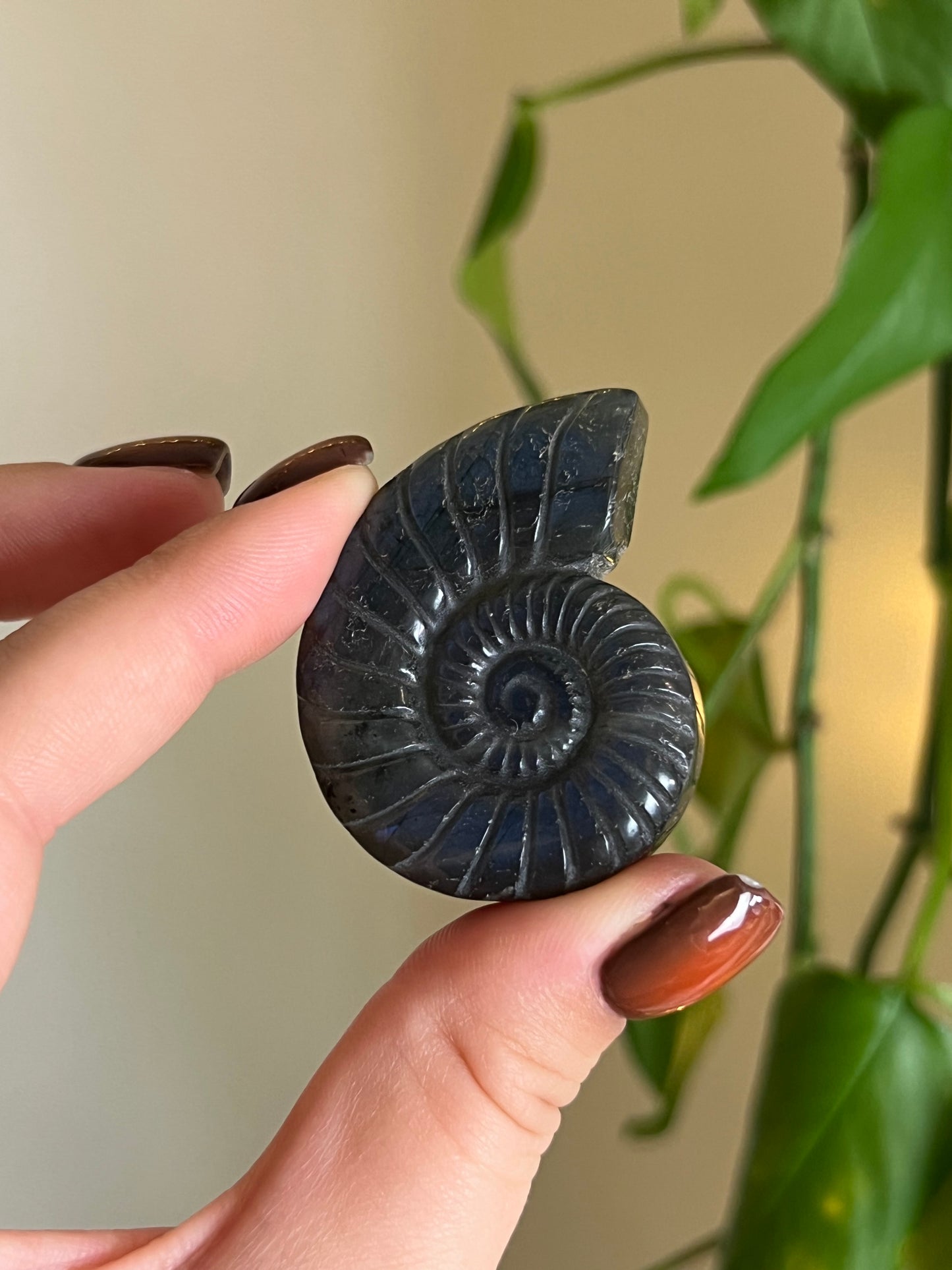 Flashy Lepidolite "Ammonite" Carving