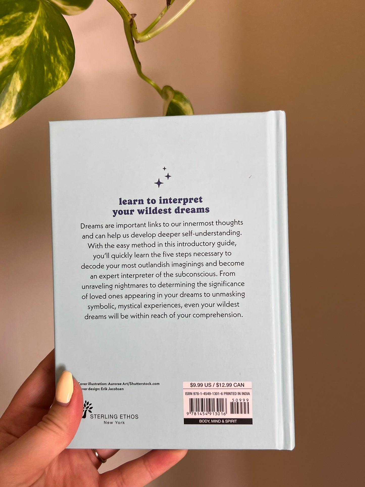 A Little Bit of Dreams Book