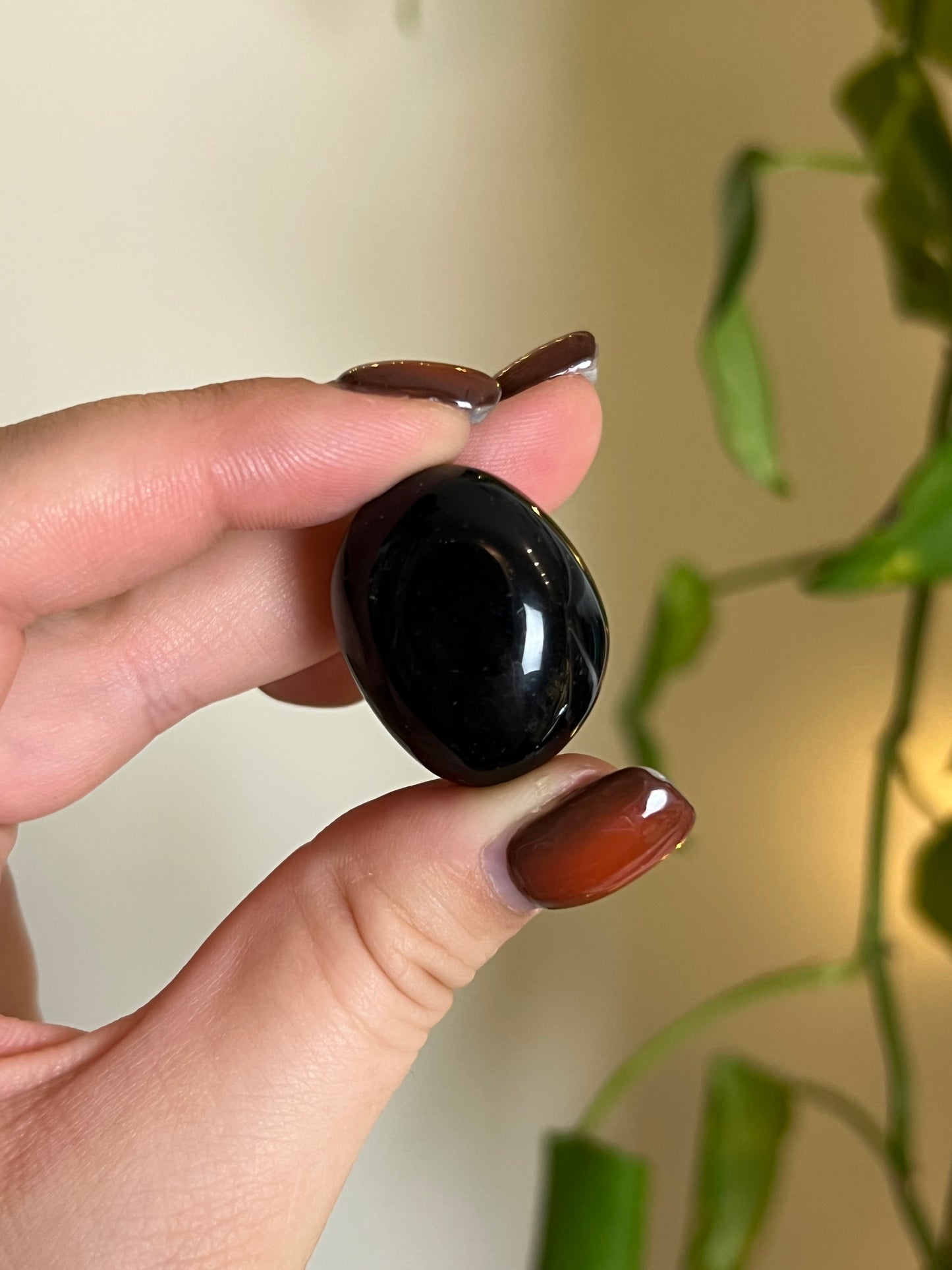 Black Obsidian Tumbled