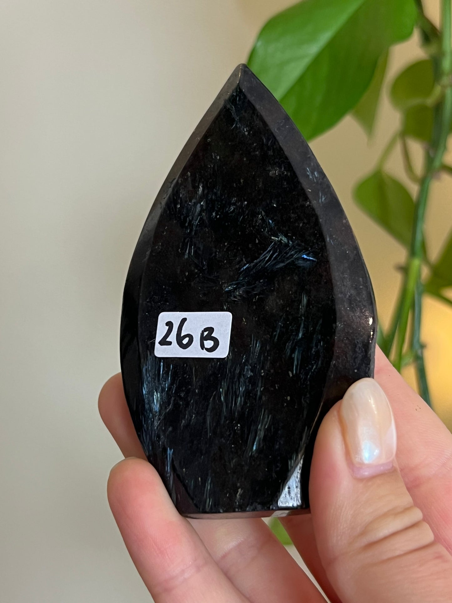 Astrophyllite on Matrix Freeform - B